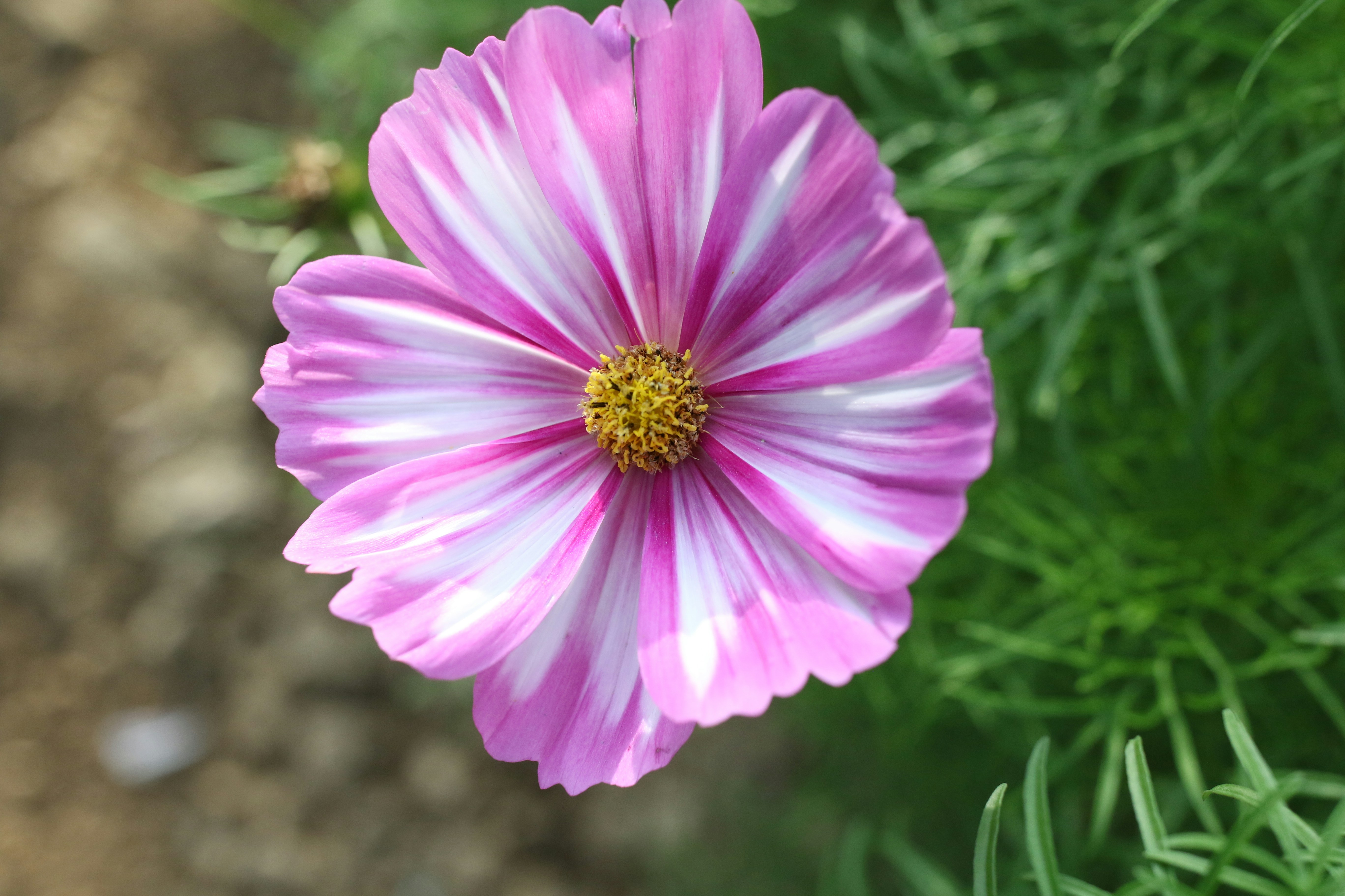 Photo by malenas_photography