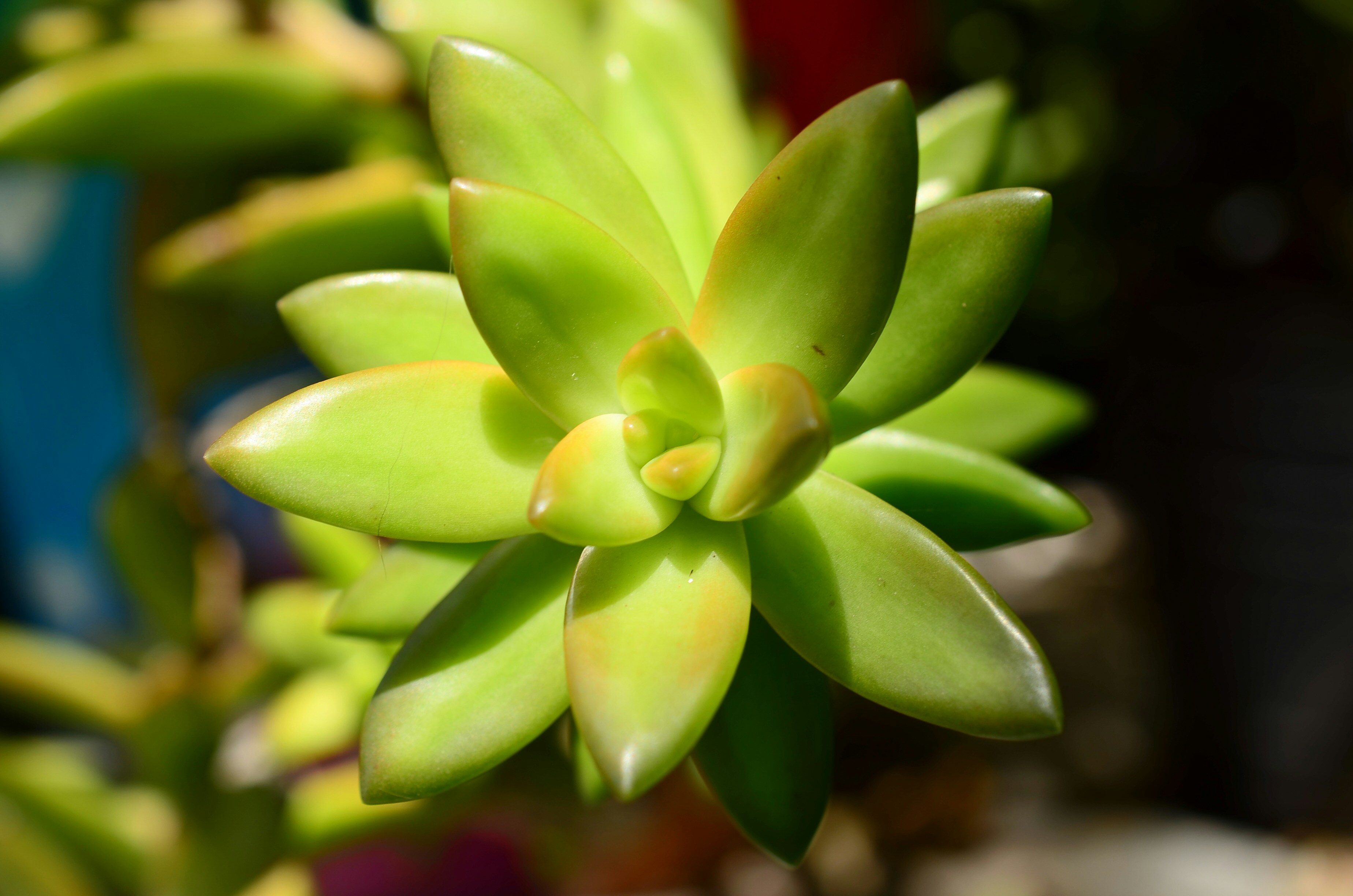 Photo by sunshinestudio82