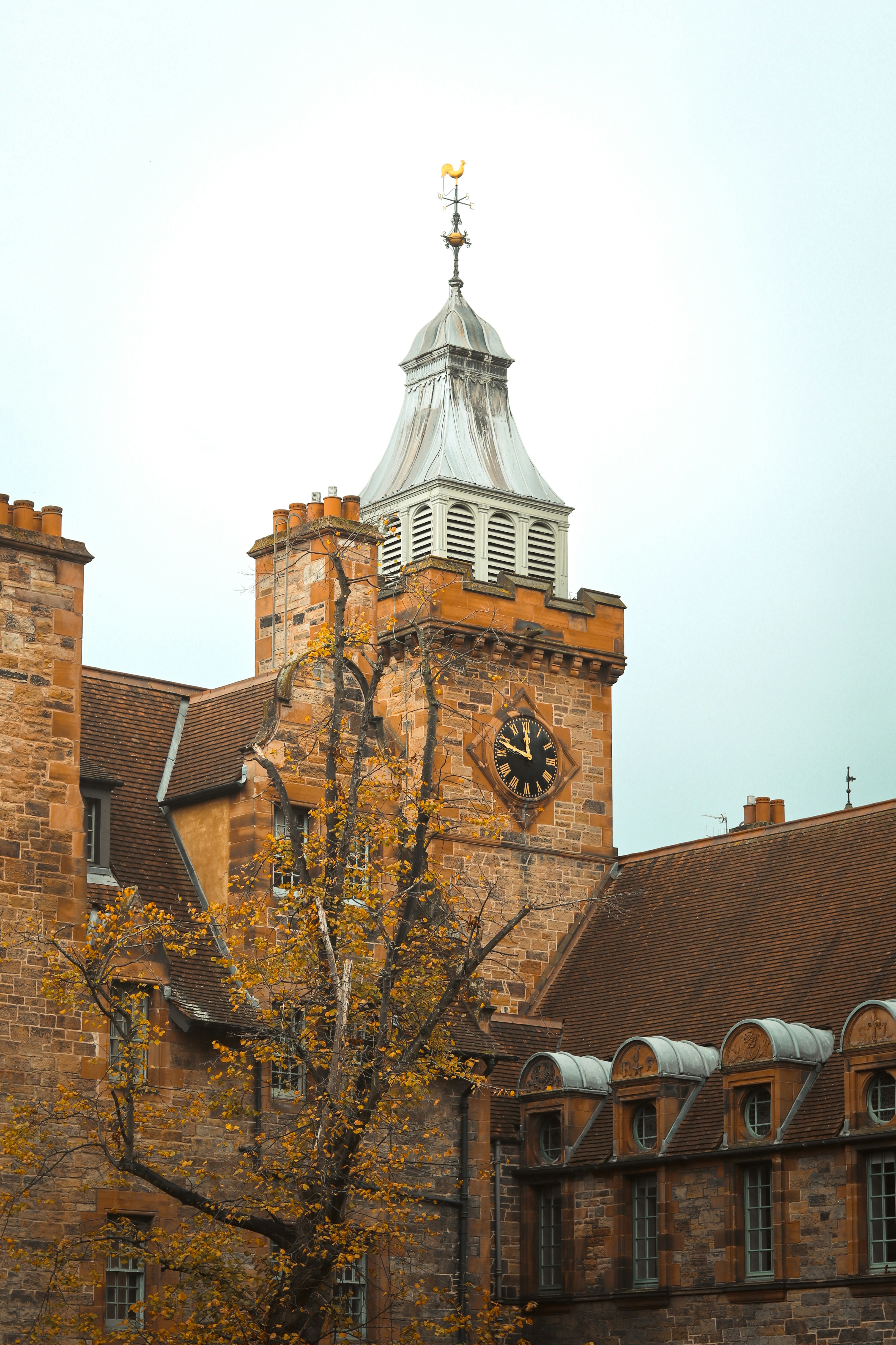 Photo by sanjog3jpeg