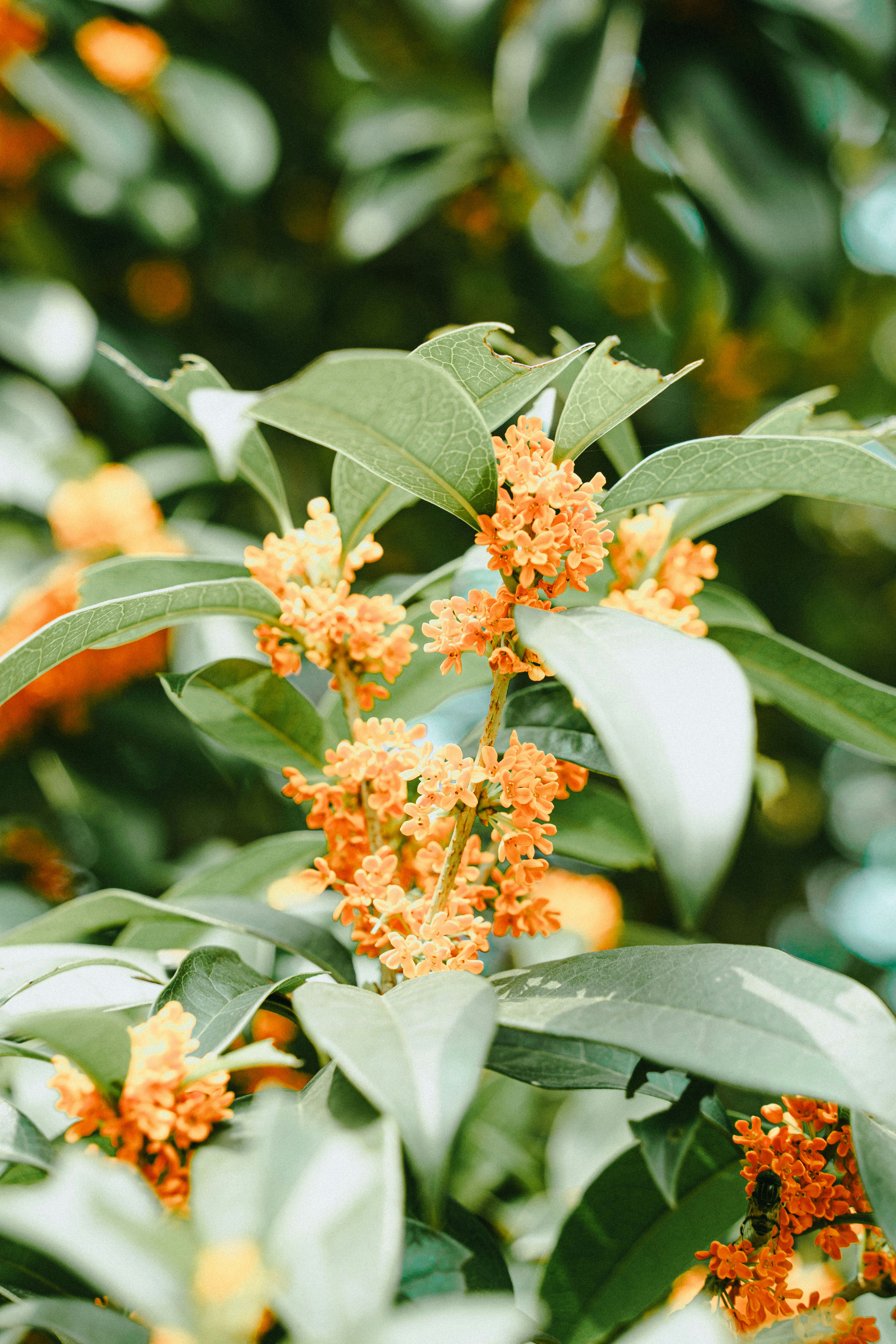 Photo by xiexianghua