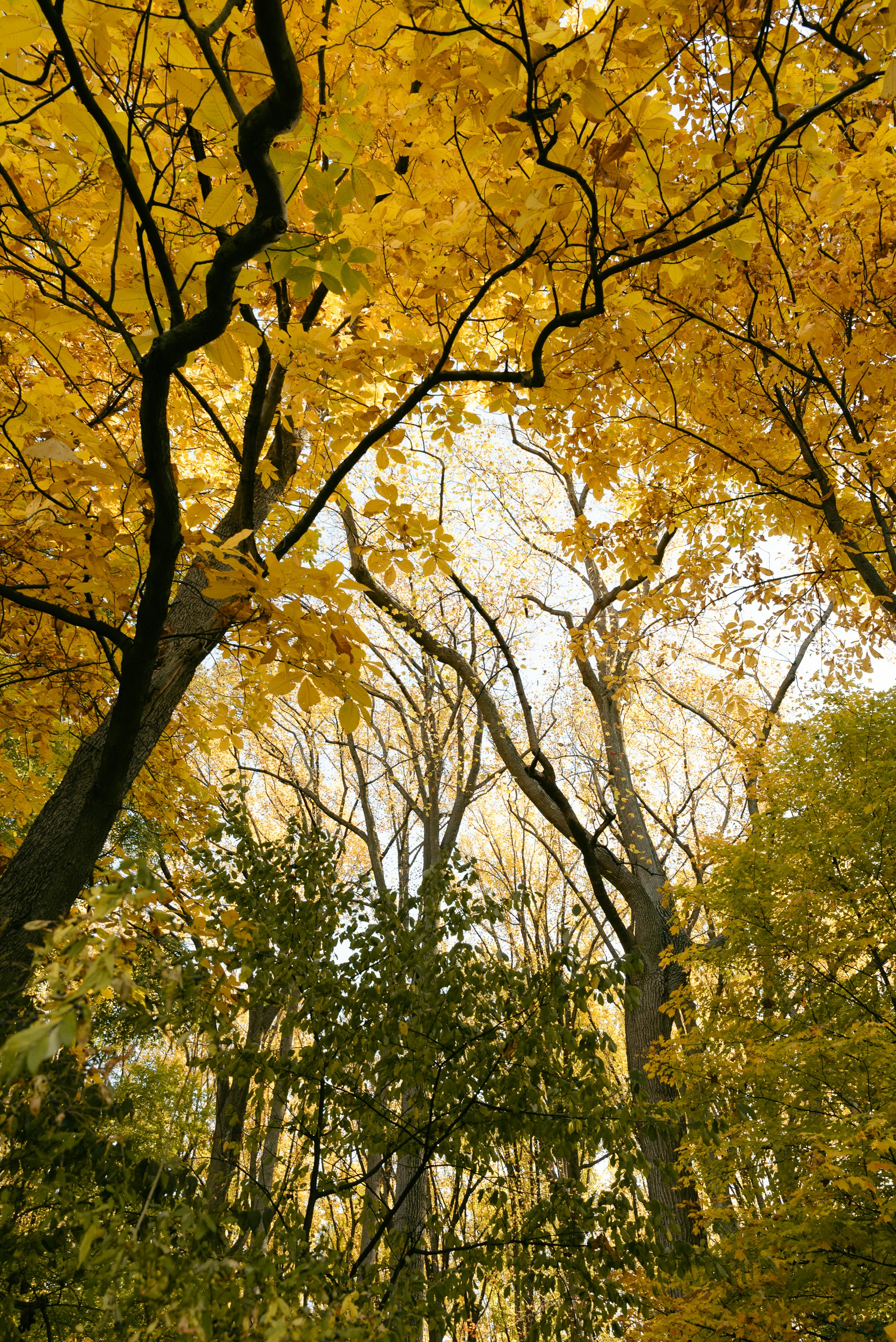 Photo by renatakneedham