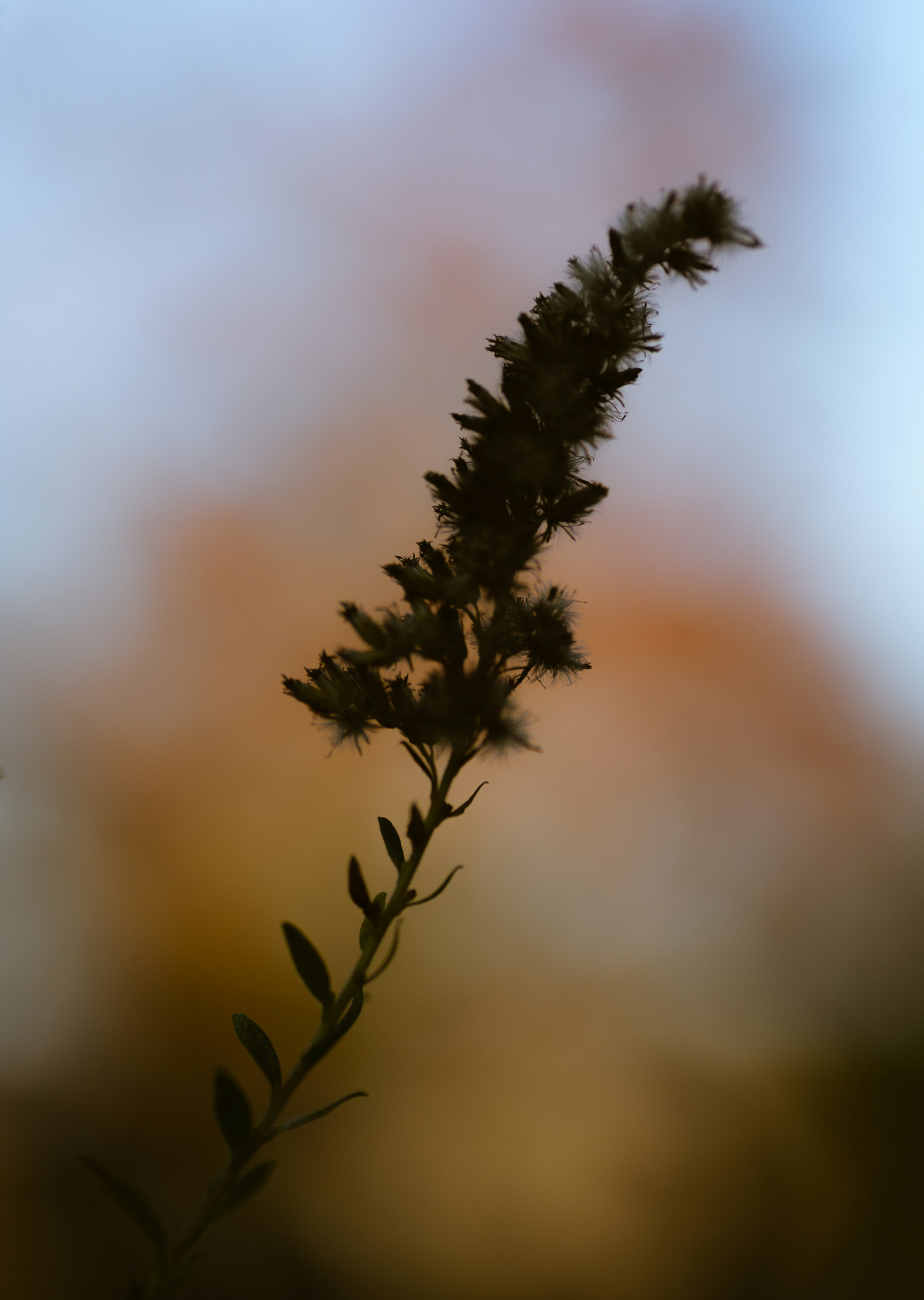 Photo by renatakneedham