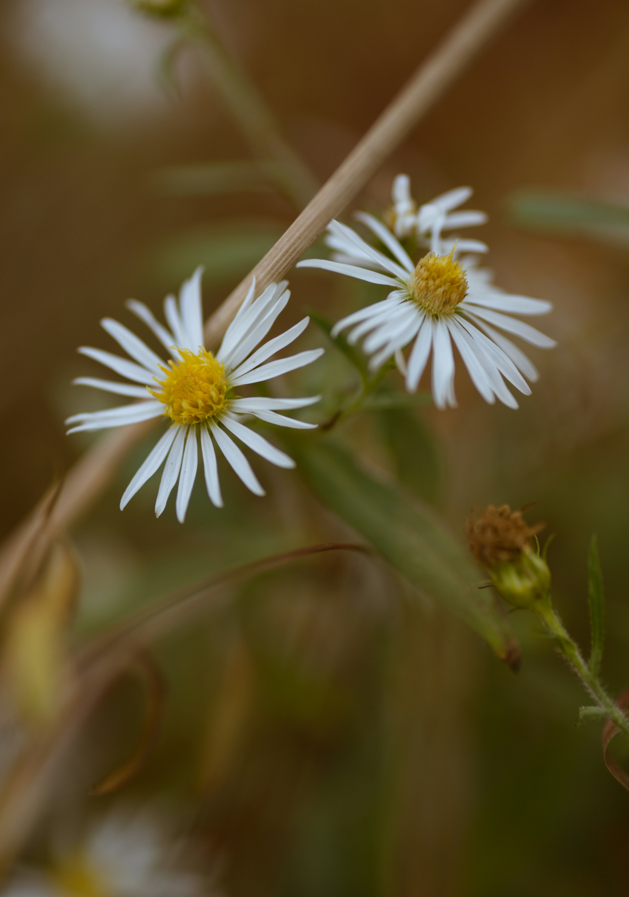 Photo by renatakneedham