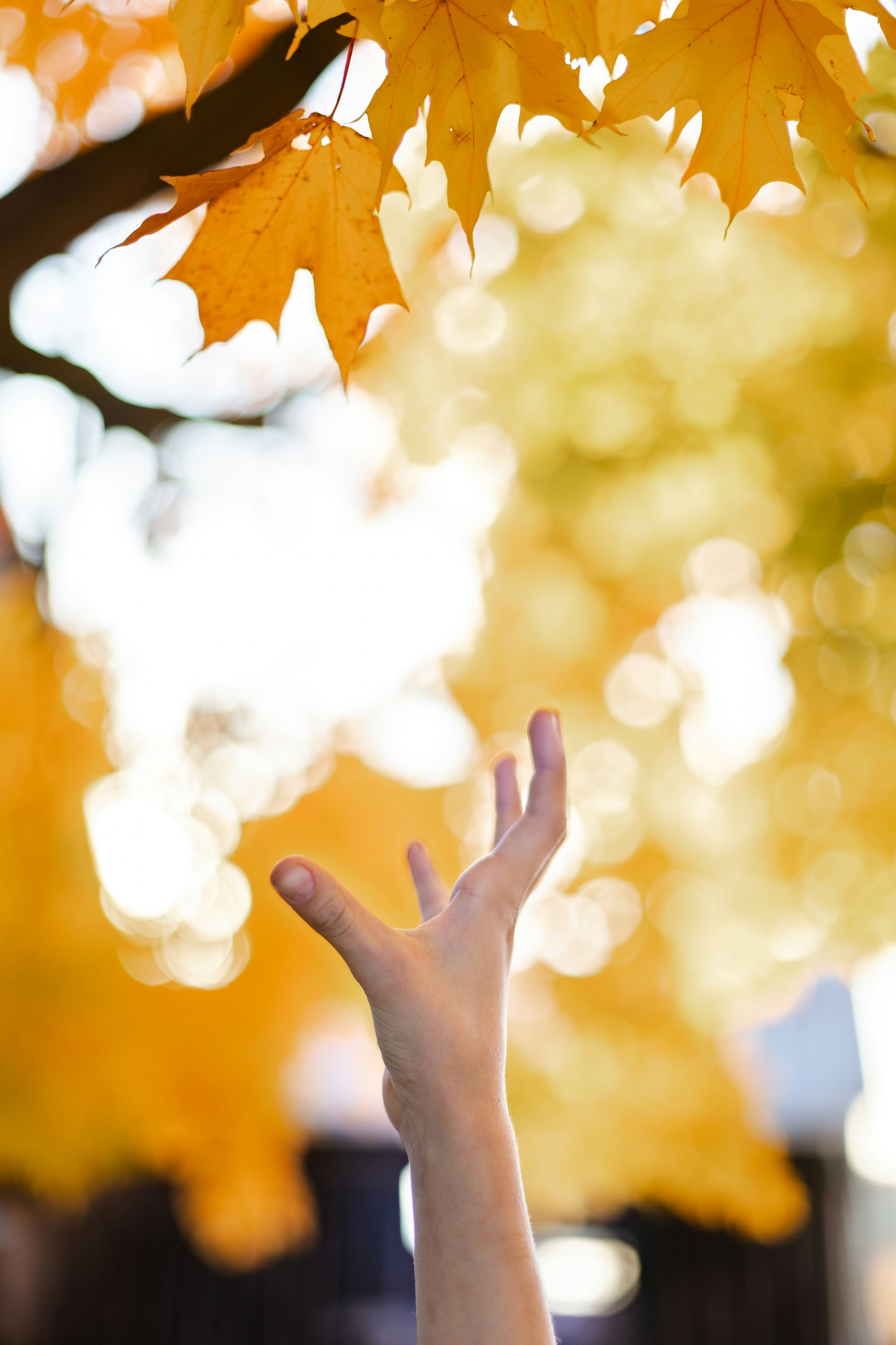 Photo by ohlmanphotography