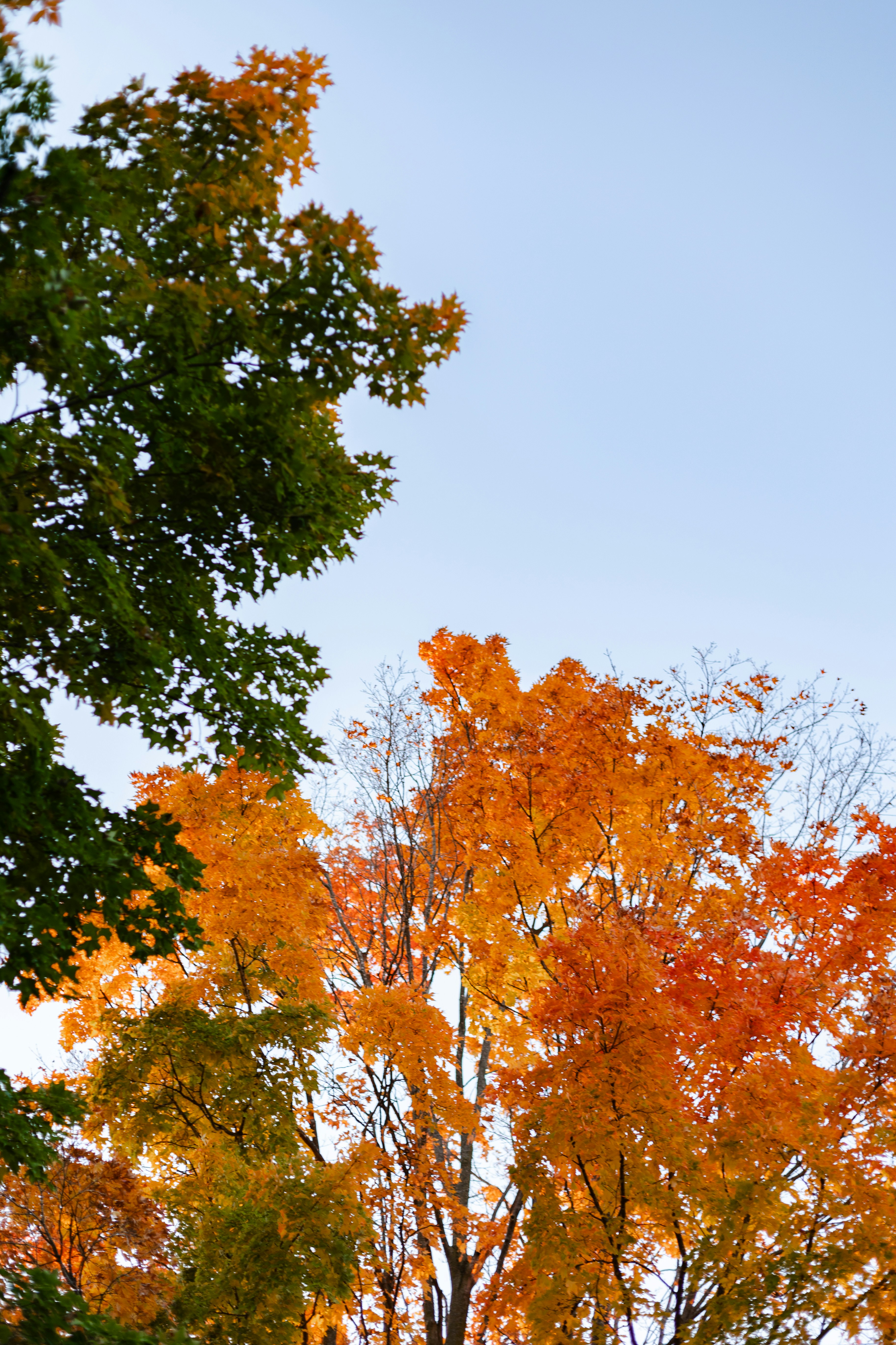 Photo by ohlmanphotography