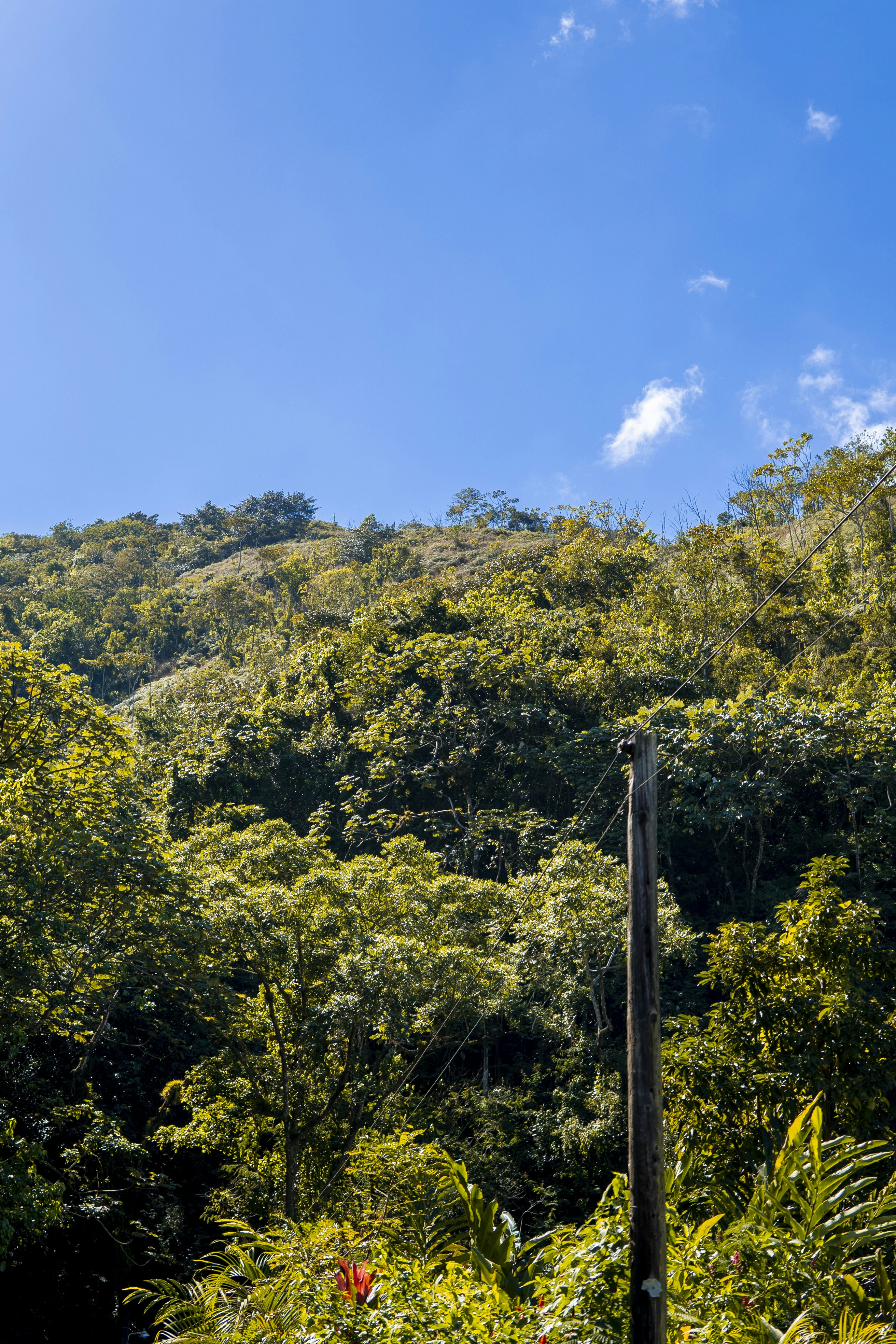 Photo by miguelphoto