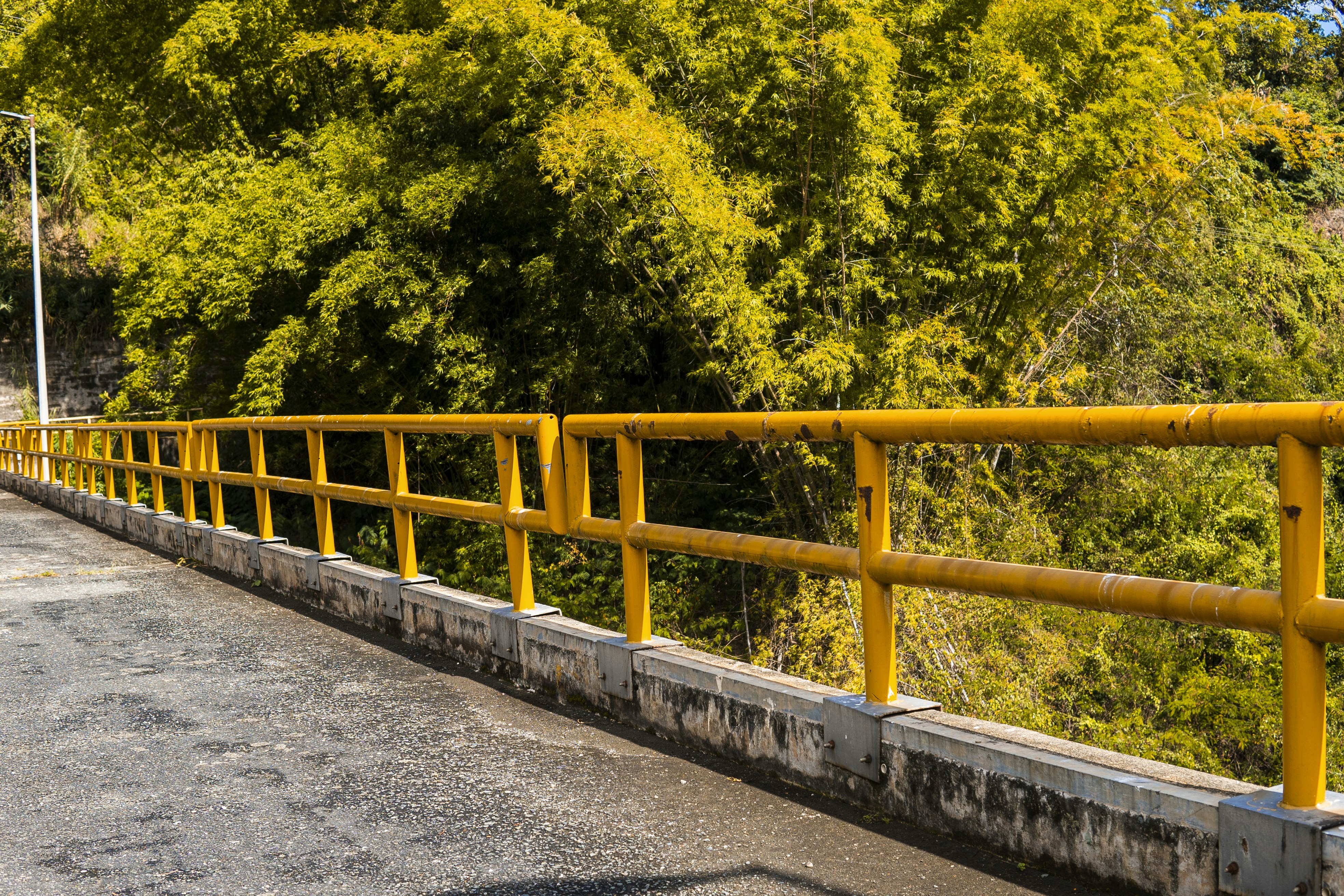 Photo by miguelphoto