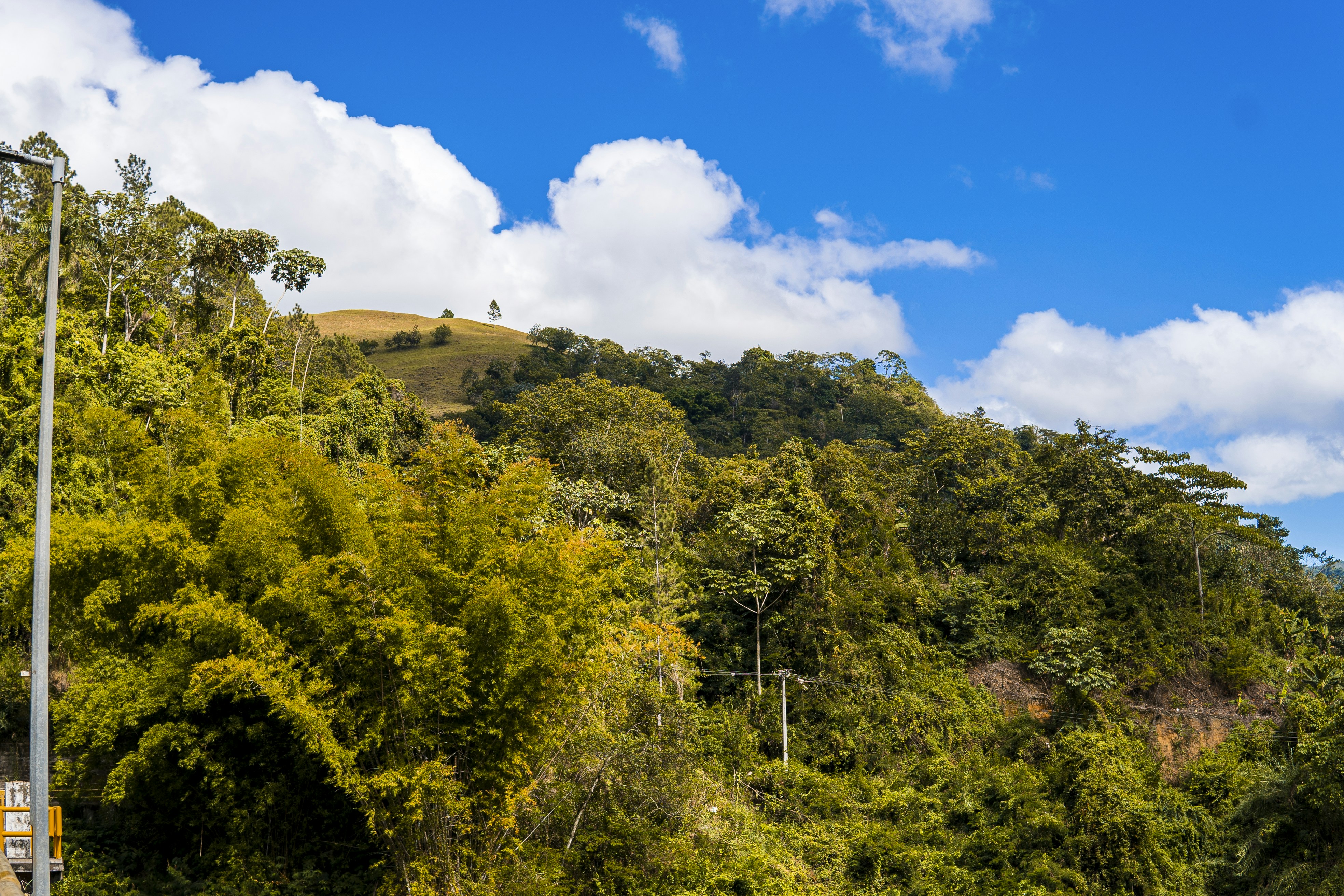 Photo by miguelphoto