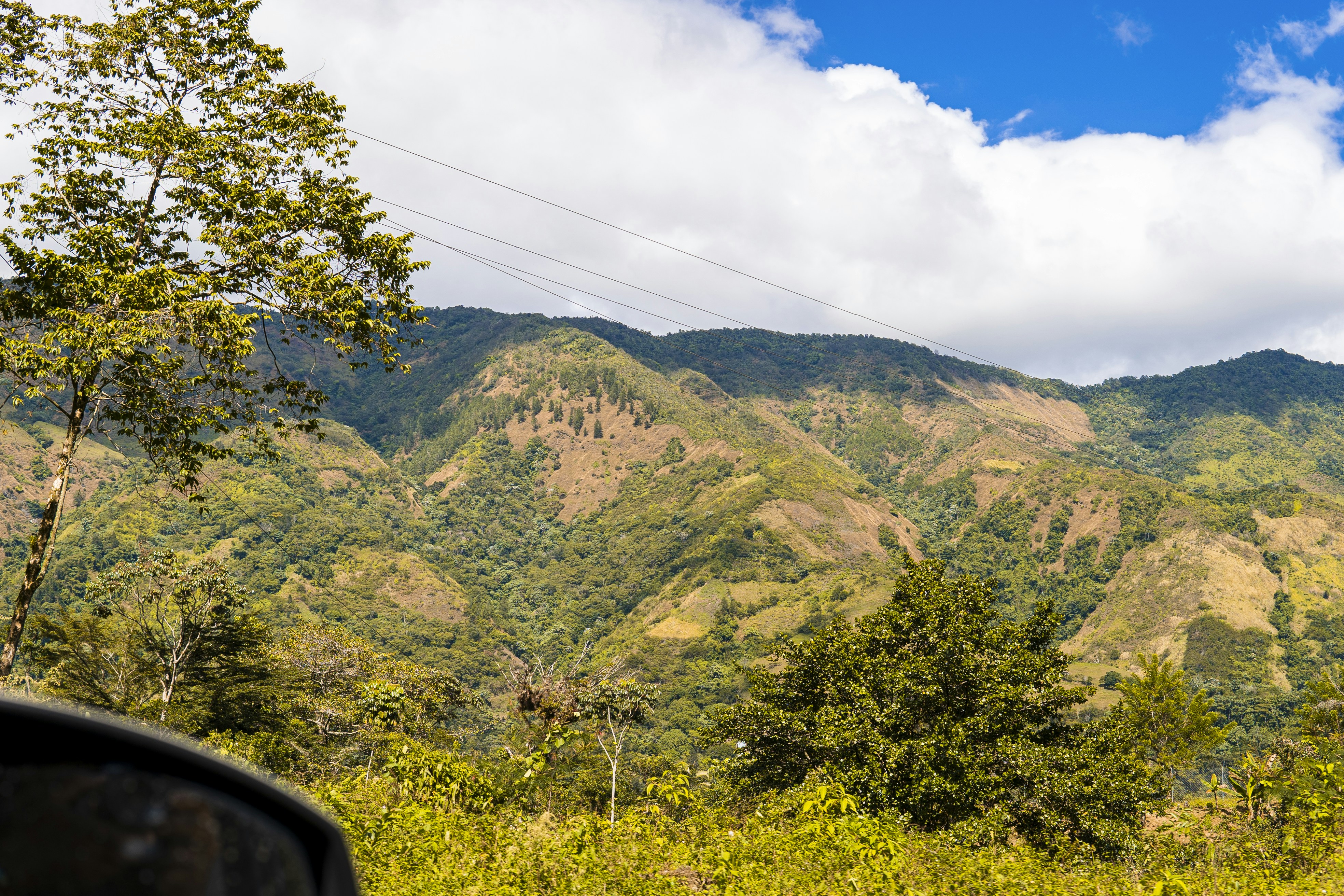 Photo by miguelphoto