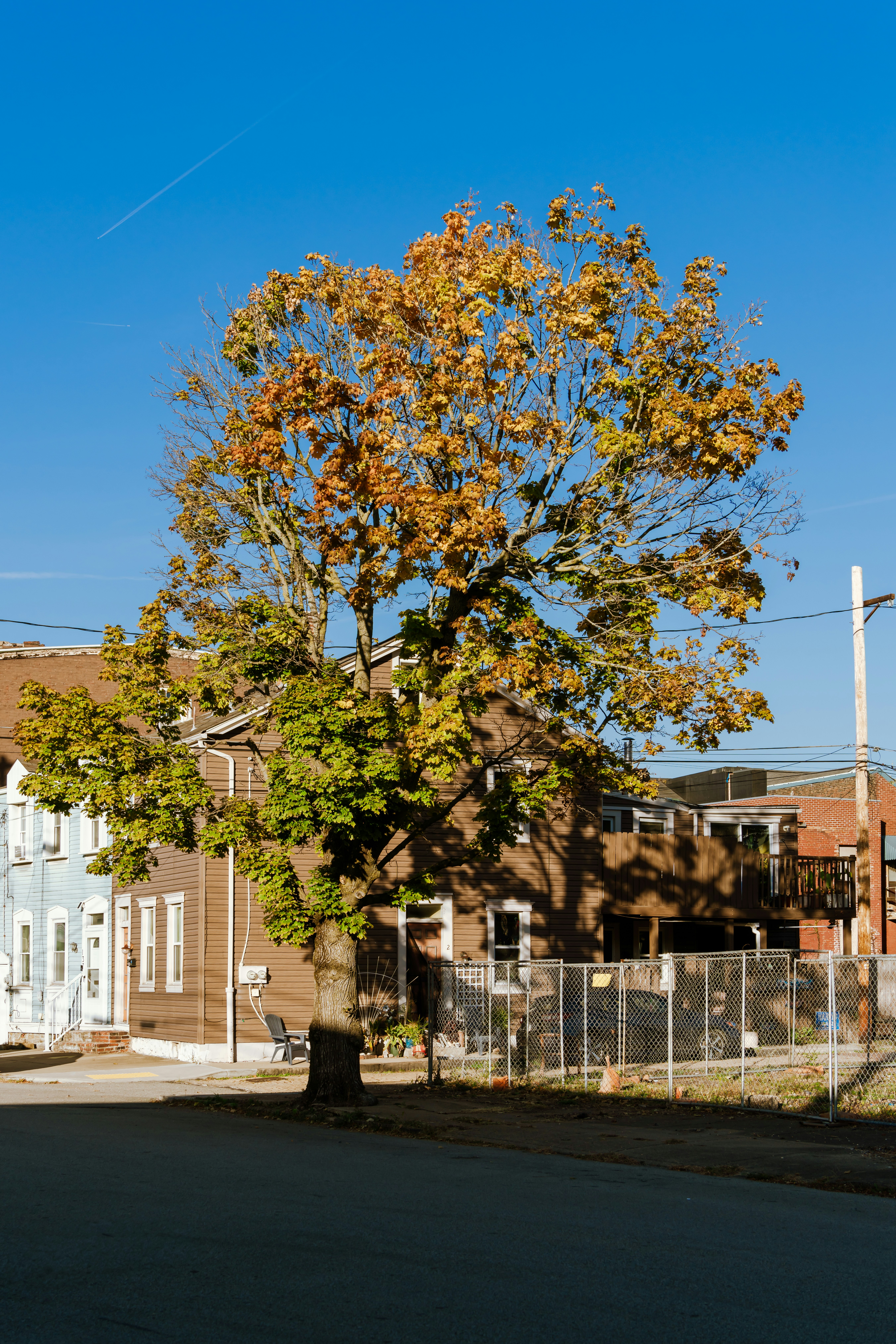 Photo by zhenyao_photo