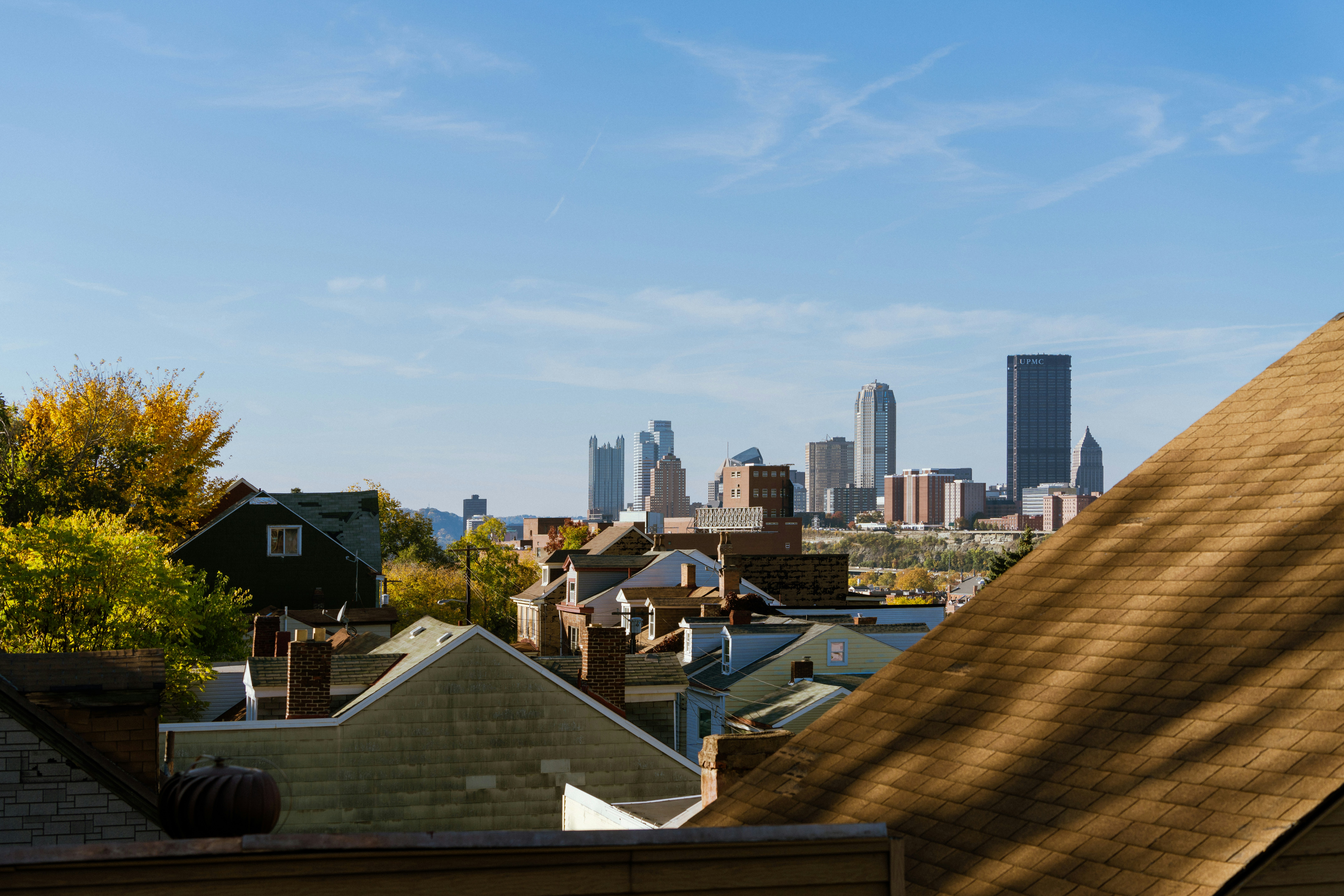 Rooftop beehive with Chicago skyline in background - Chicago iconic buildings