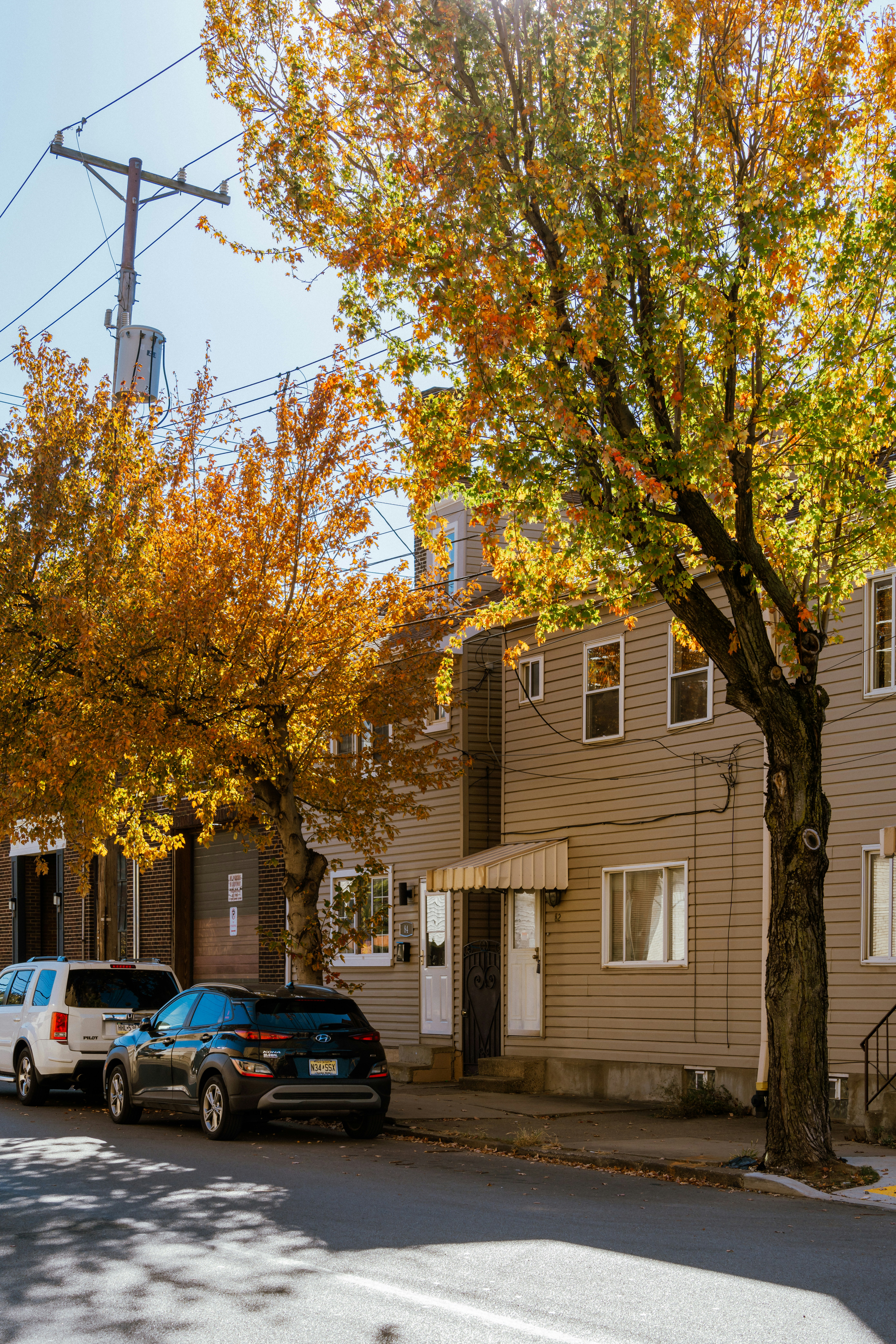 Photo by zhenyao_photo