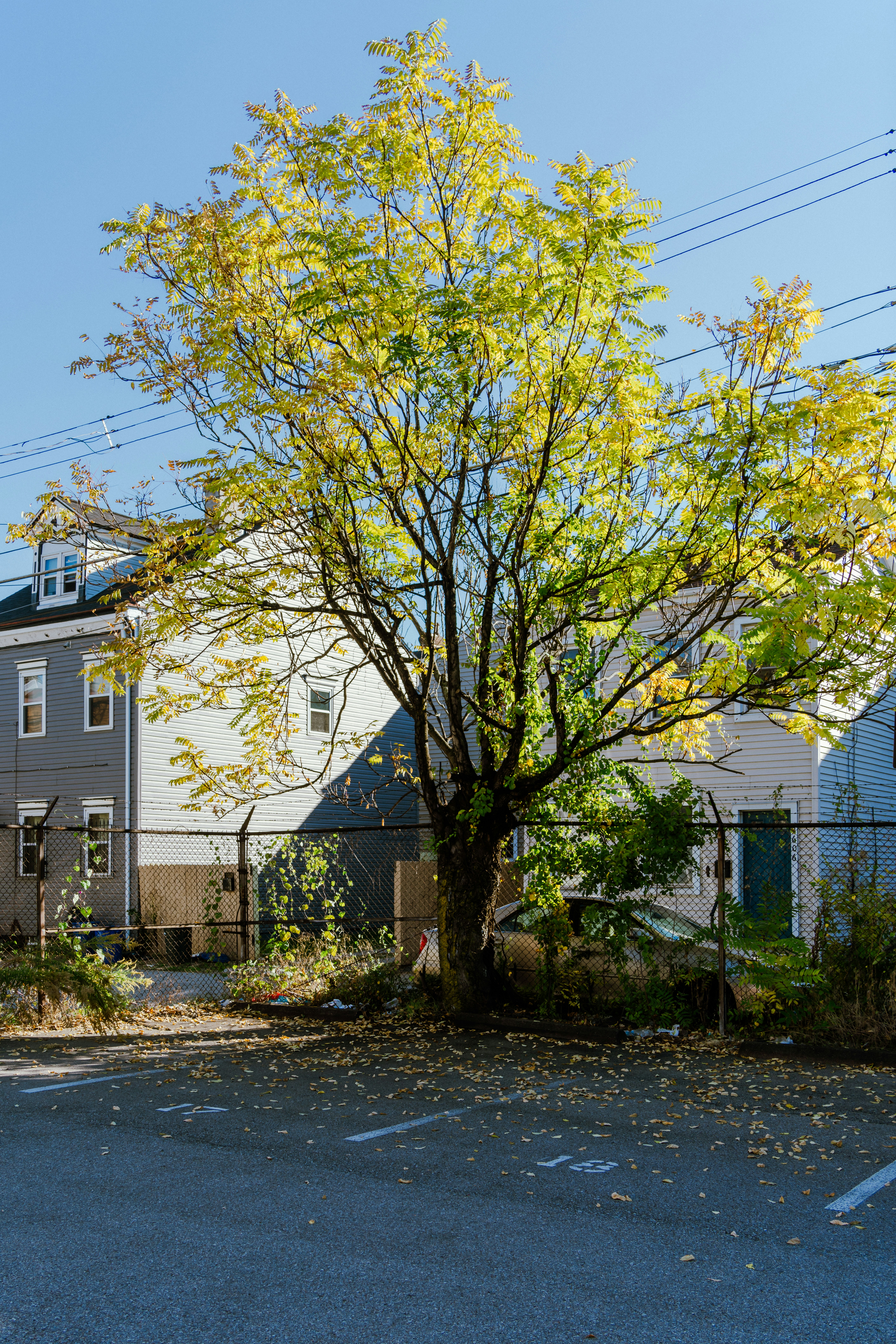 Photo by zhenyao_photo