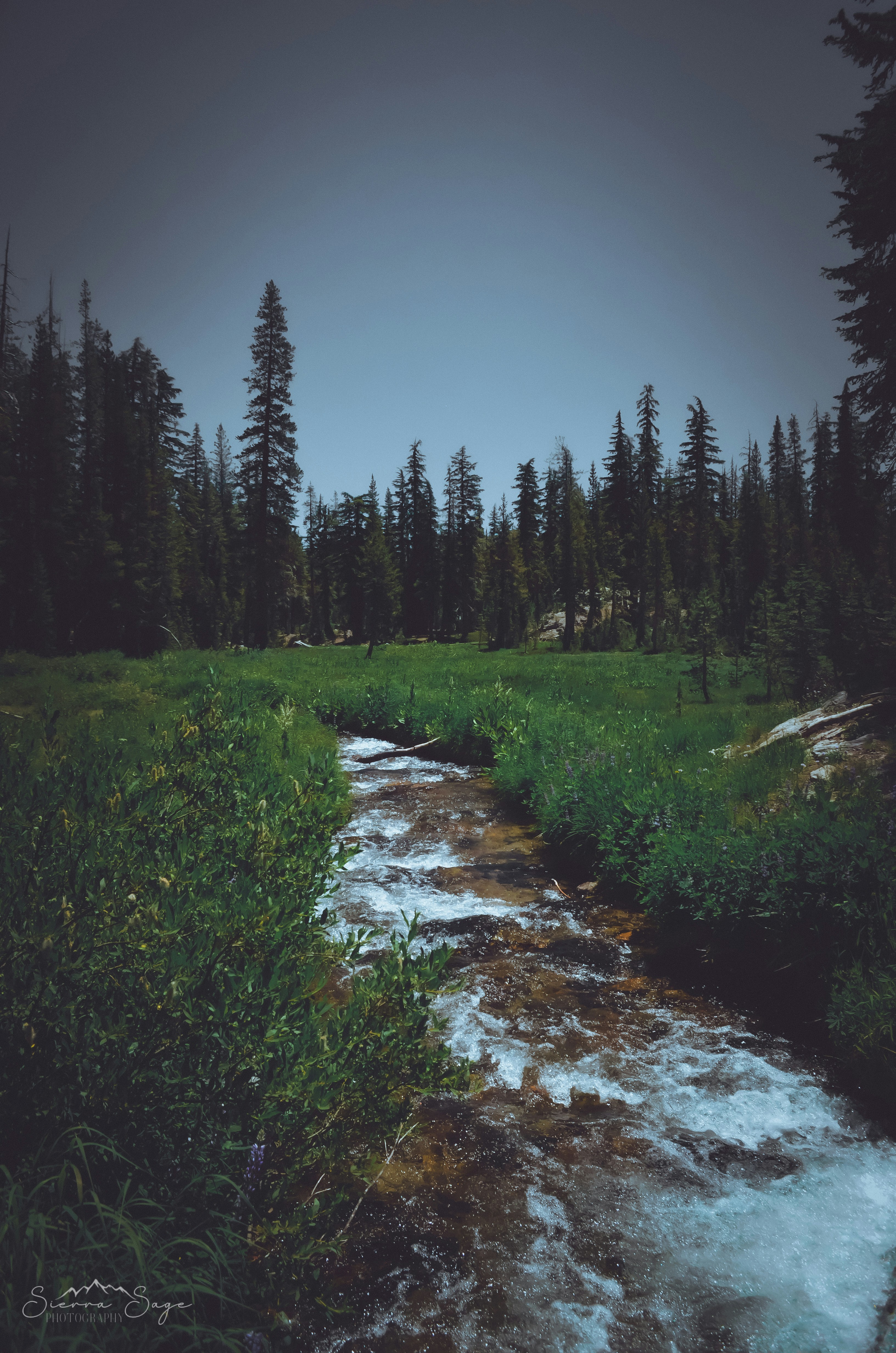 Photo by rachel_joyce