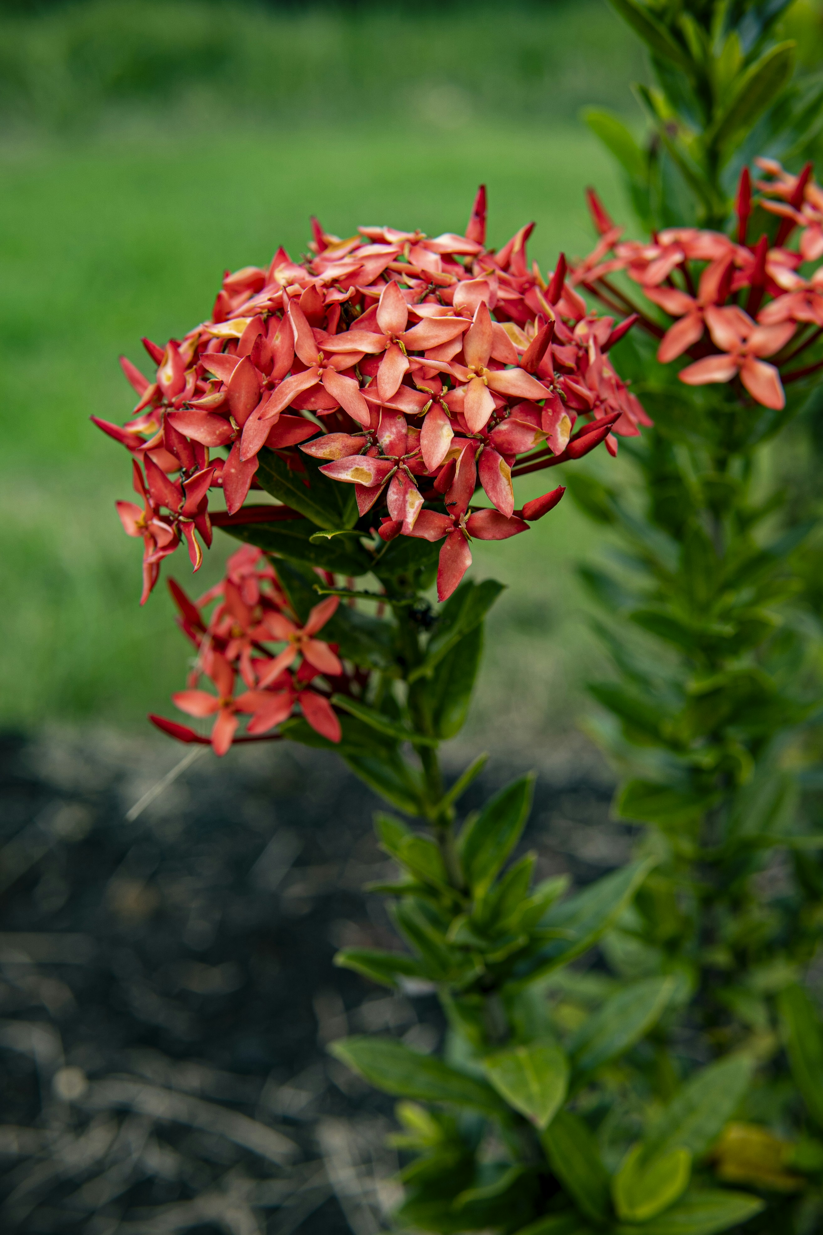 Photo by miguelphoto