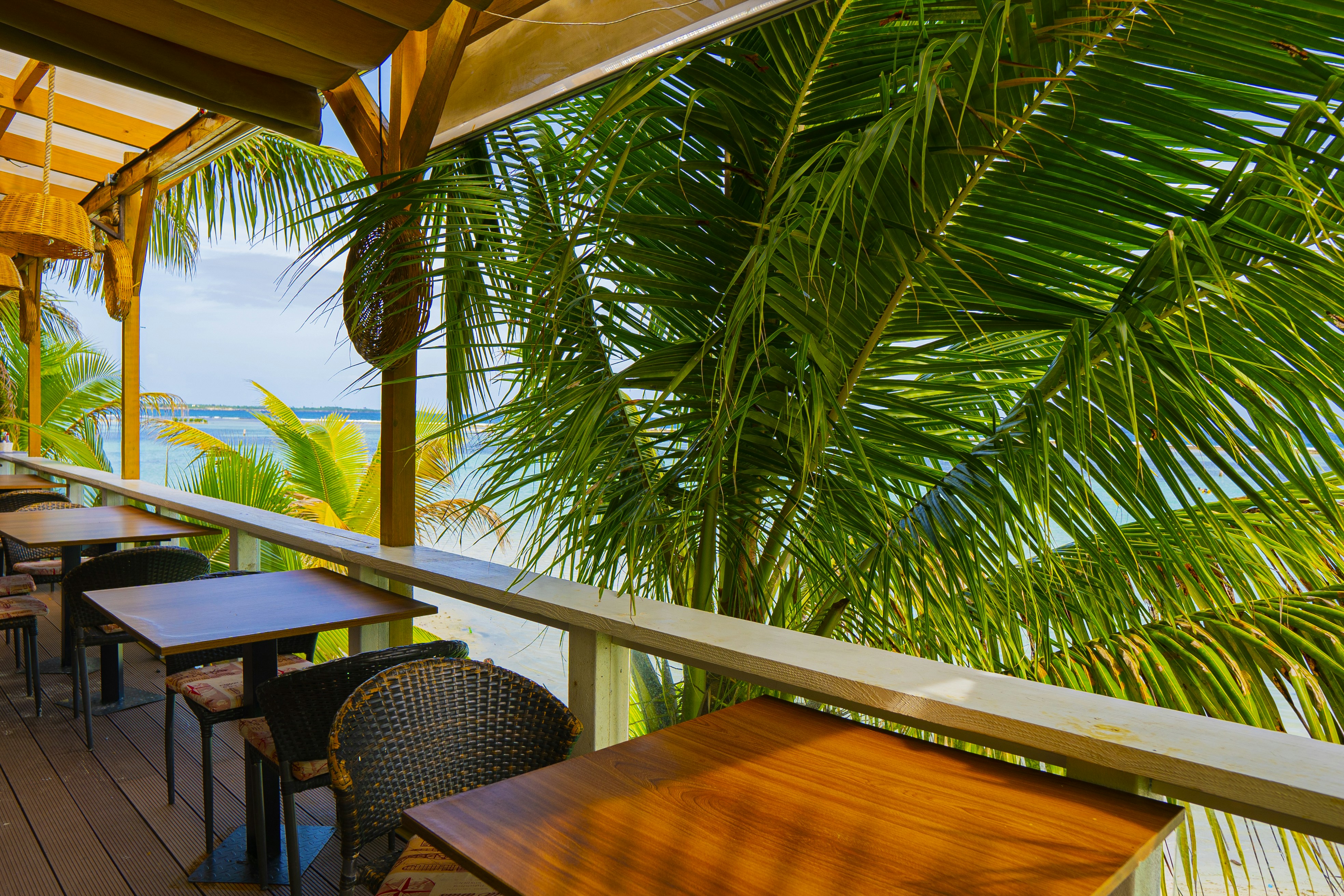 Photo by miguelphoto