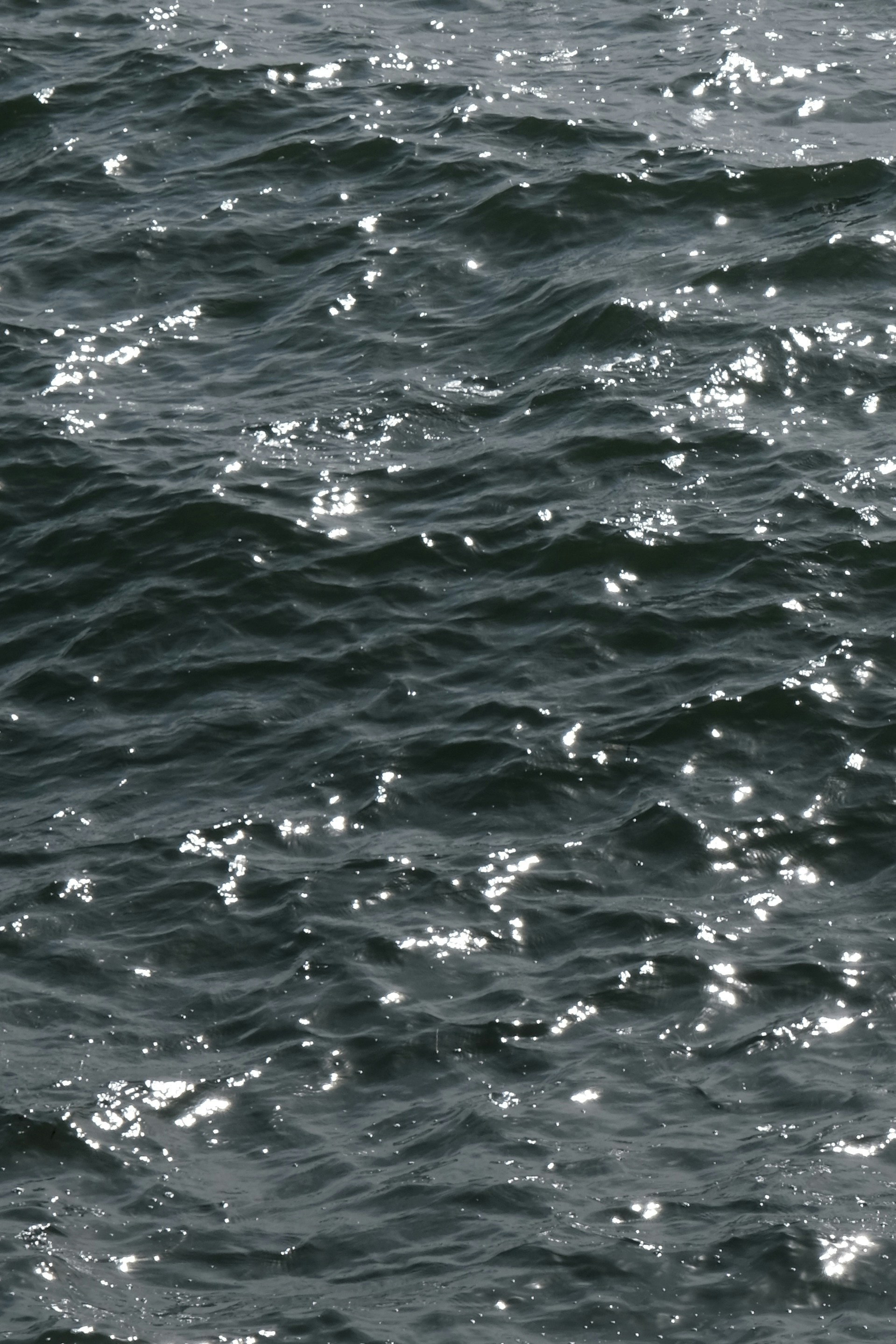 Photo by riley_cheng