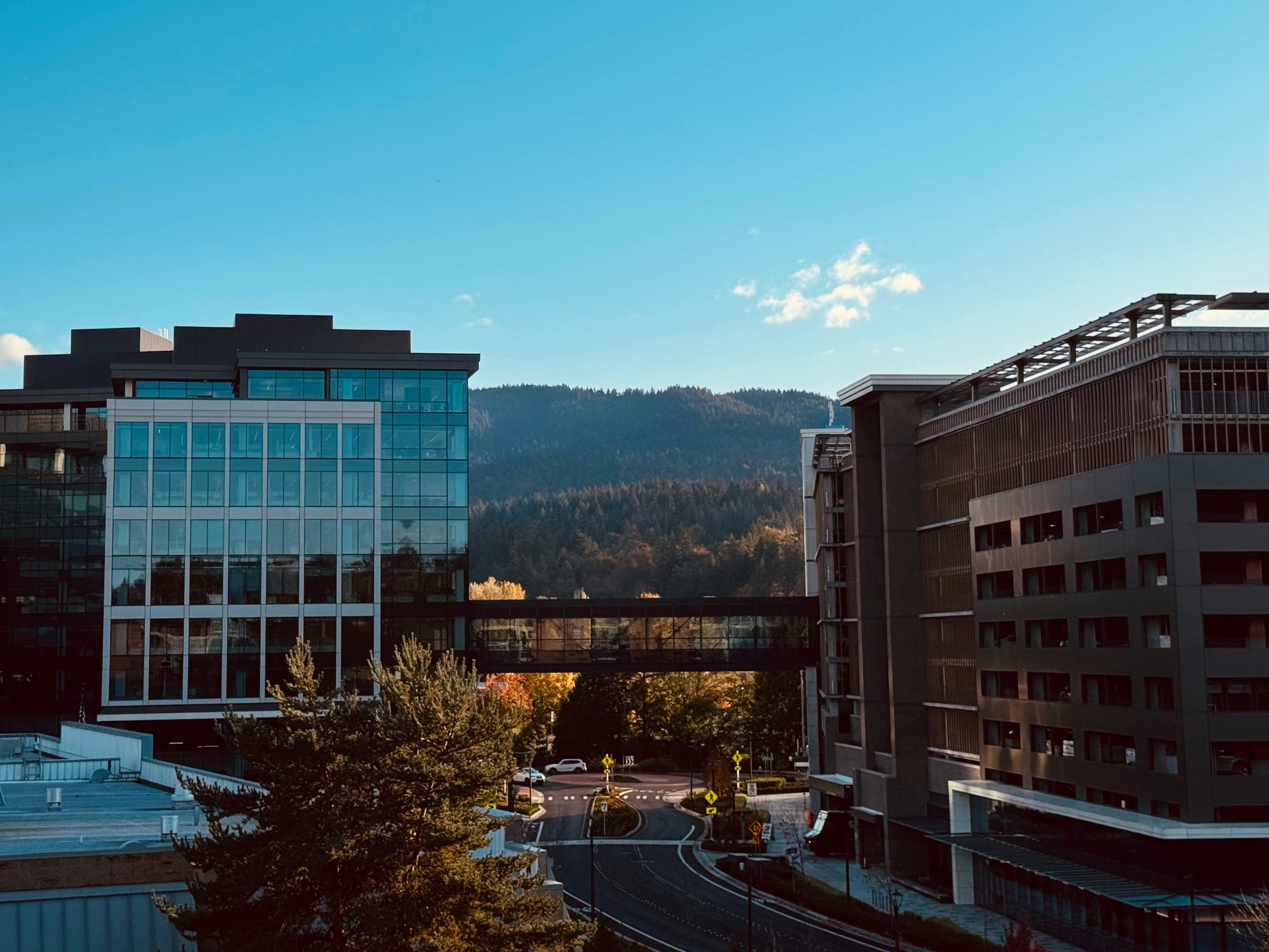 gray computer monitor