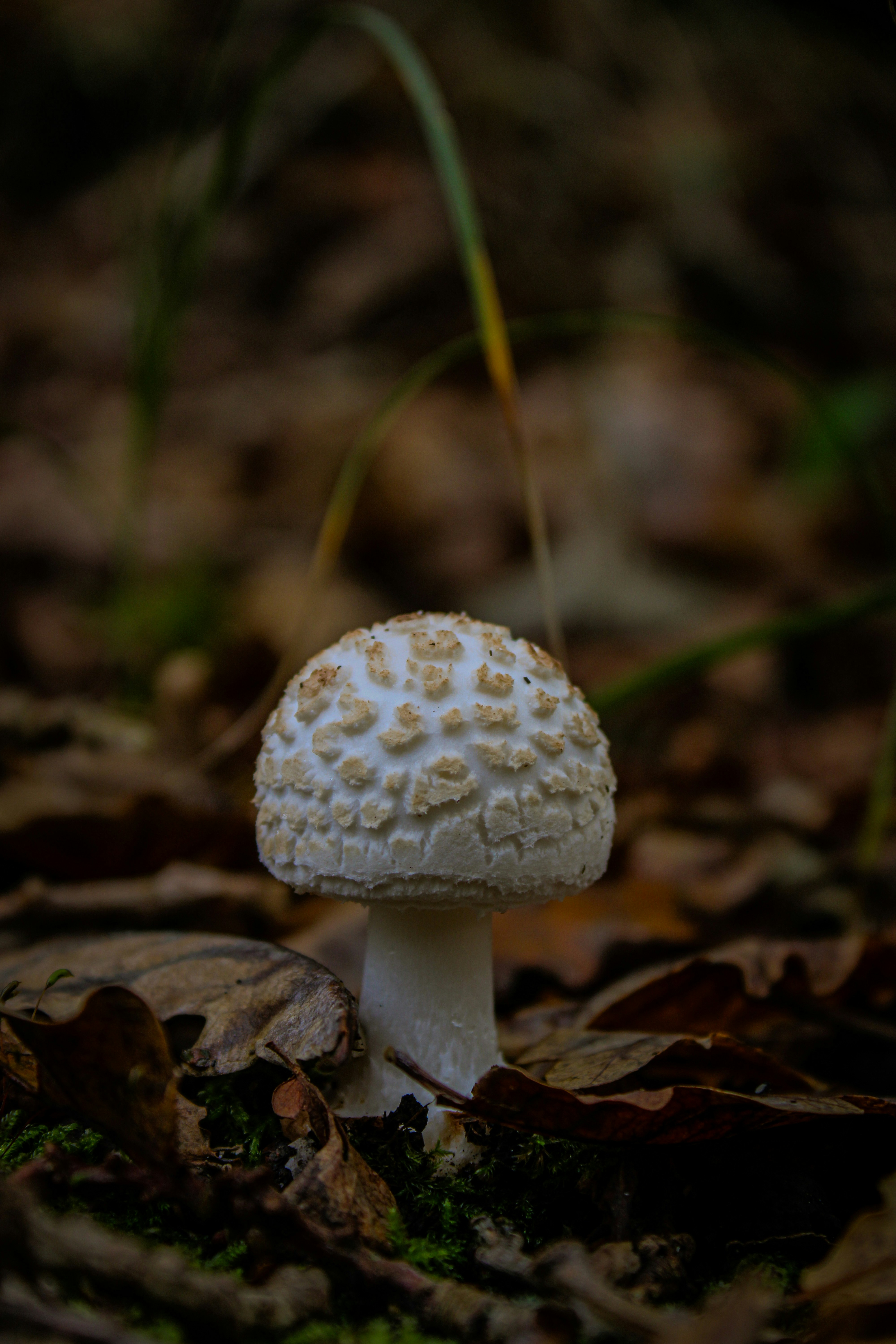 Photo by _jellephotography