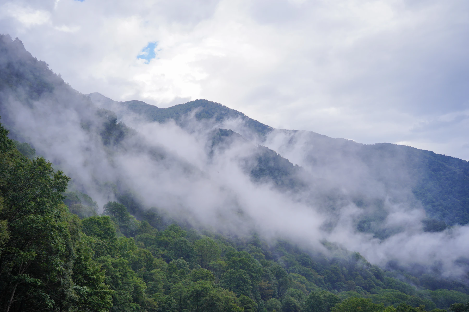 霧のかかる山