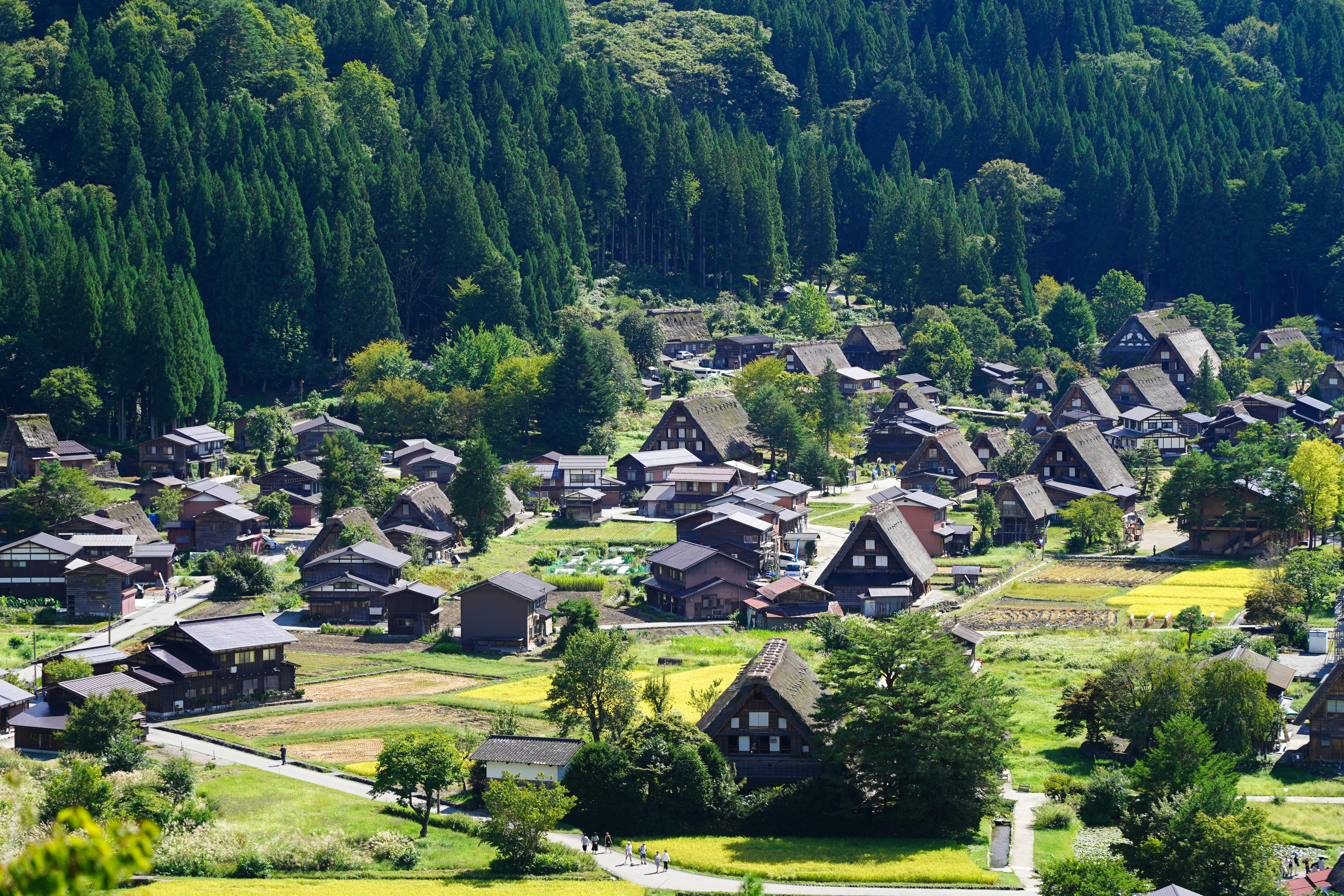 Louder Than Any Resort: How Japan's Emptying Villages Are Selling America on the Power of True Quiet