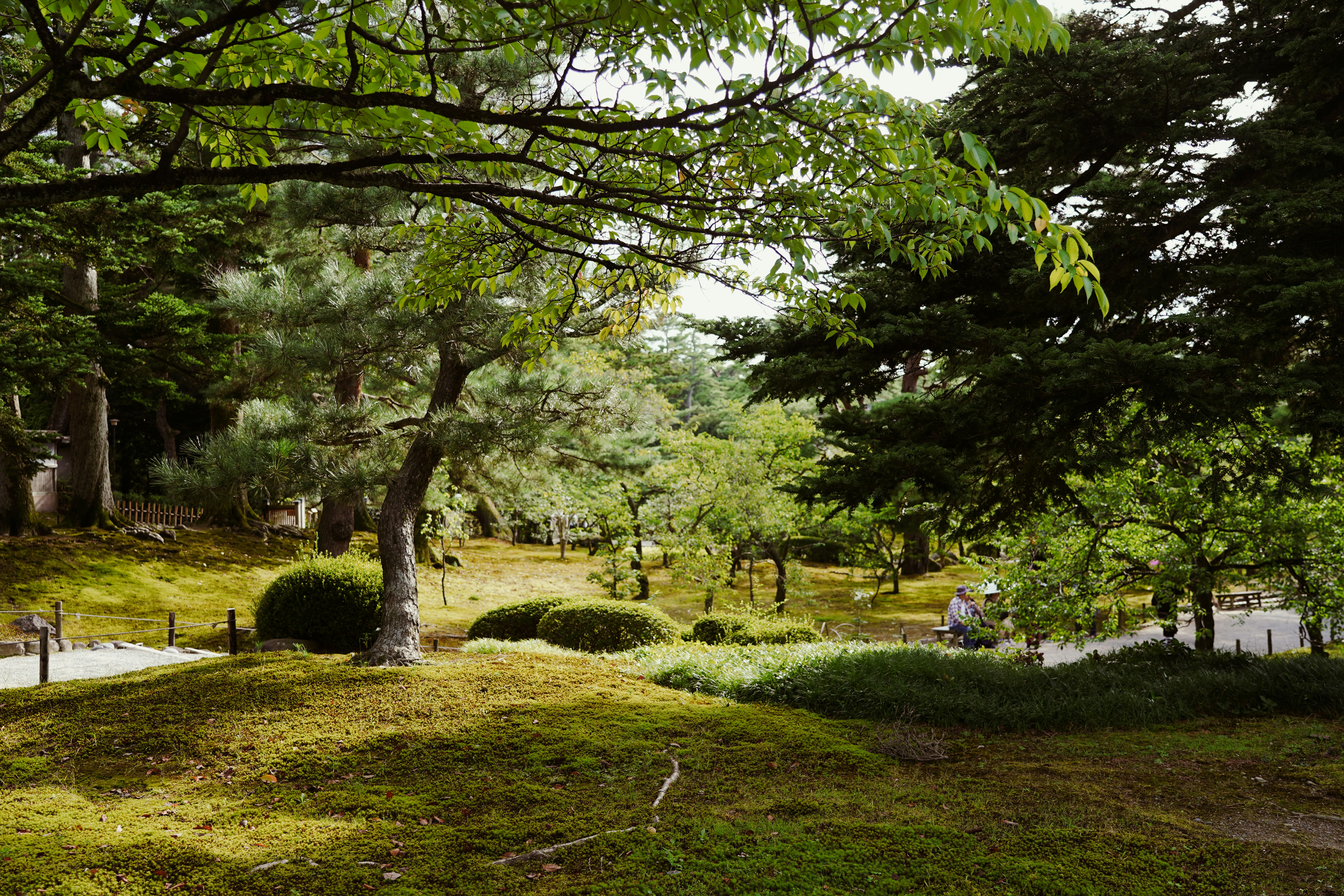 Kanazawa, Japan - A tranquil view of Kenrokuen Garden in Kanazawa, Japan, one of the country's most celebrated landscape gardens. The scene captures the harmony of nature and design, with carefully manicured trees, serene ponds, and traditional stone lanterns that reflect the beauty of all four seasons. This peaceful setting invites visitors to immerse themselves in the timeless elegance of Japanese garden artistry.