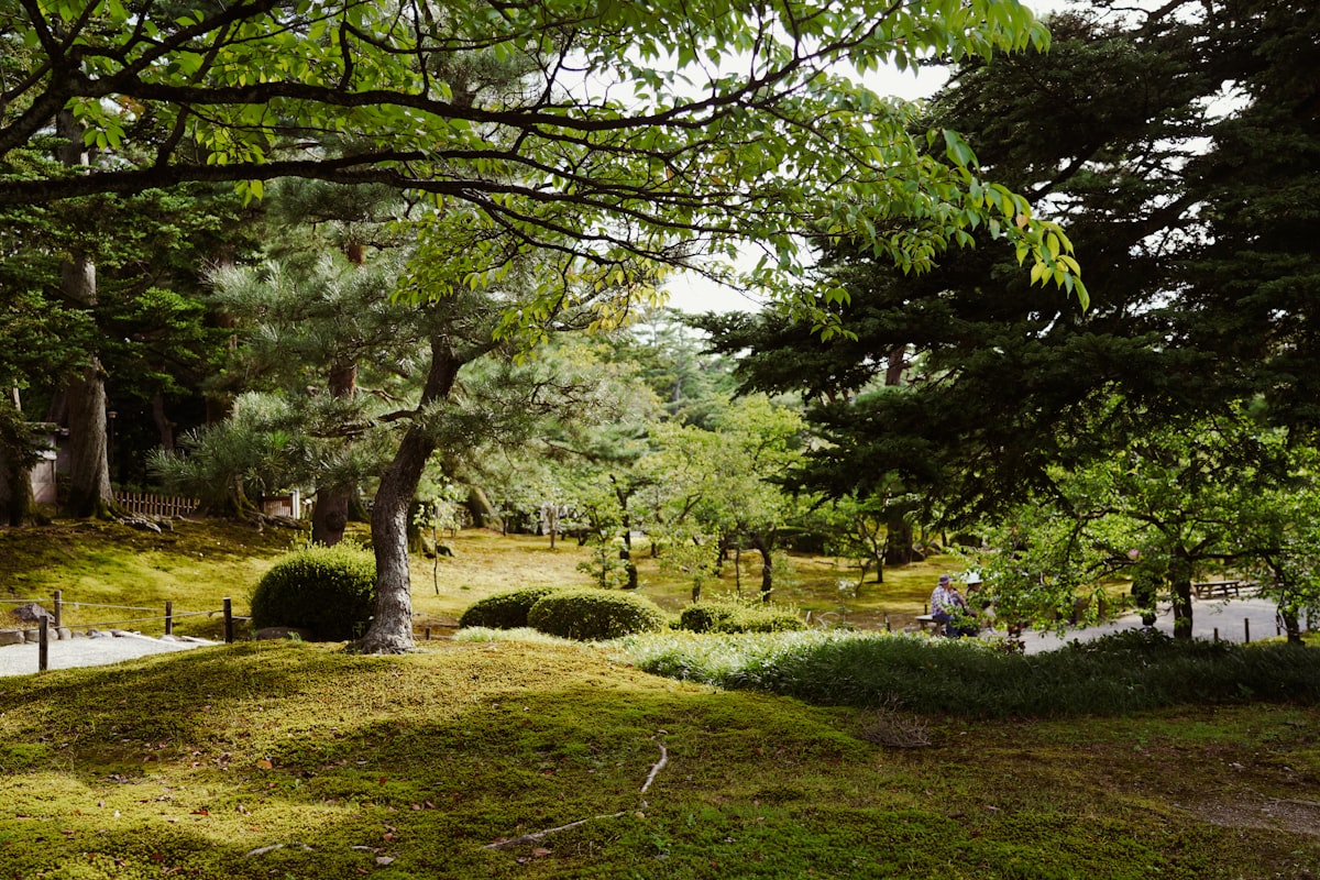 Kanazawa October — the manicured landscape of Kenroku-en garden with stone lanterns and still pond in autumn