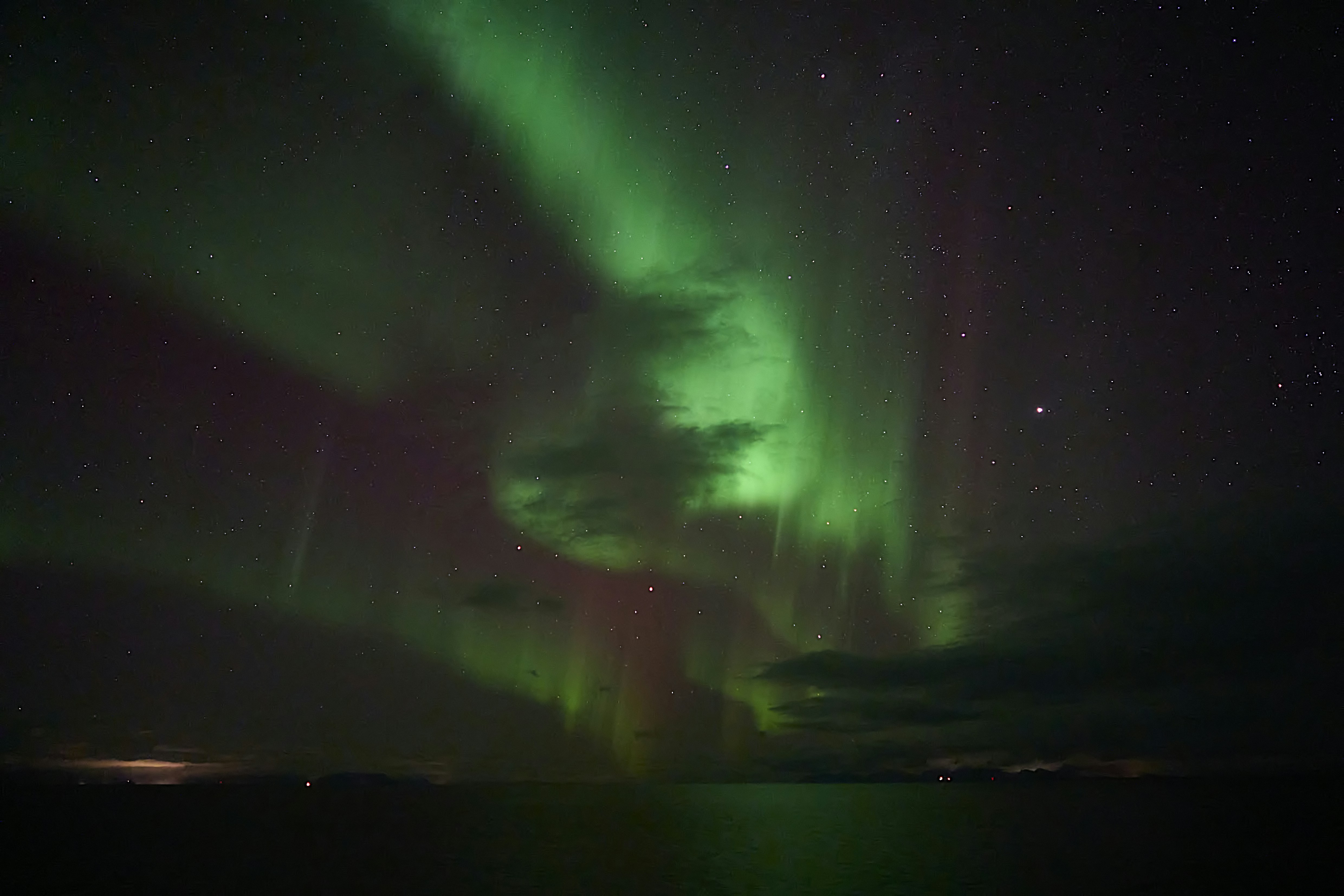 Photo by wolfgang_hasselmann