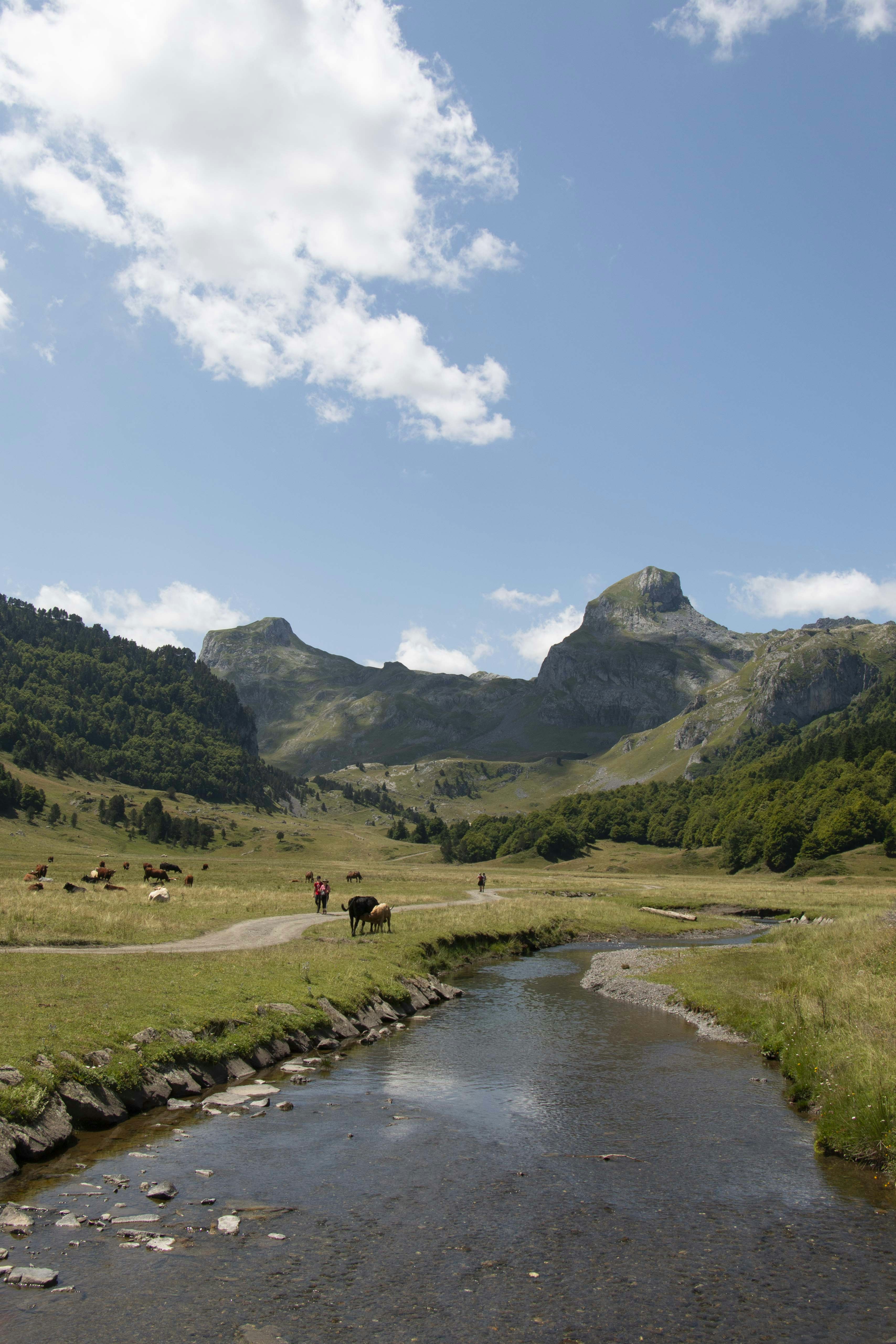 Day 1: Toulouse — Gateway City & Arrival Logistics