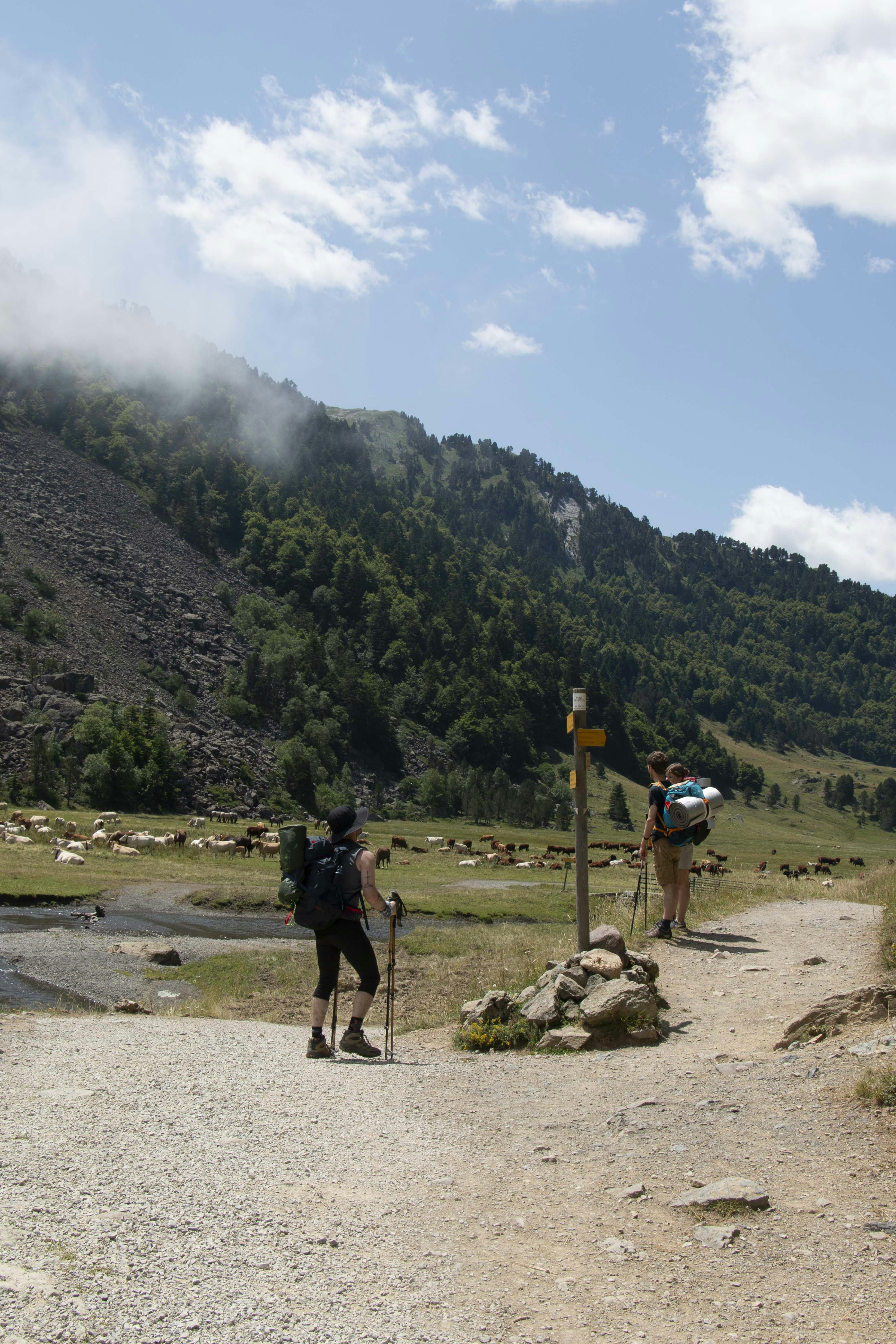 A couple of people walking down a dirt road