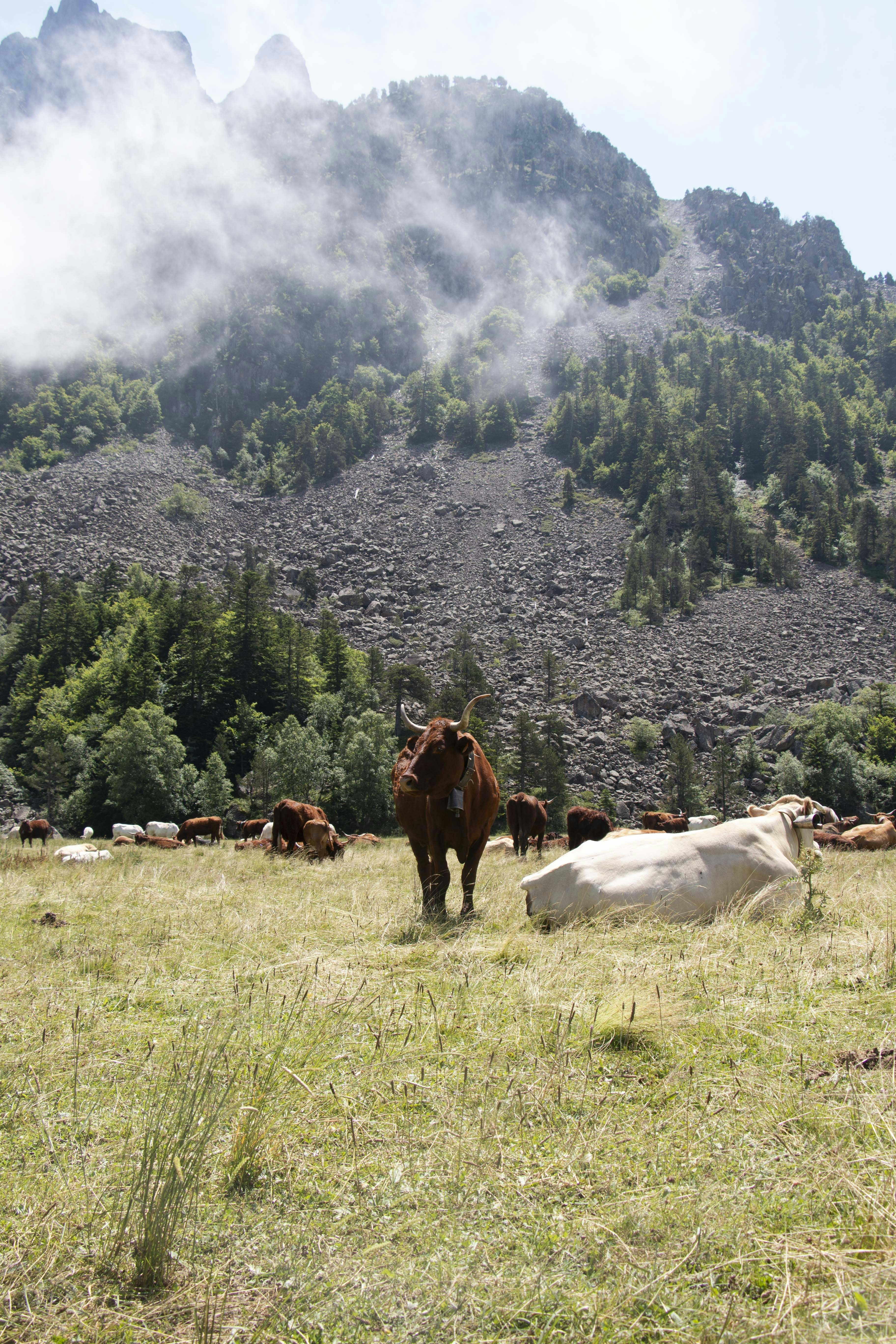 Photo by margauxquercy