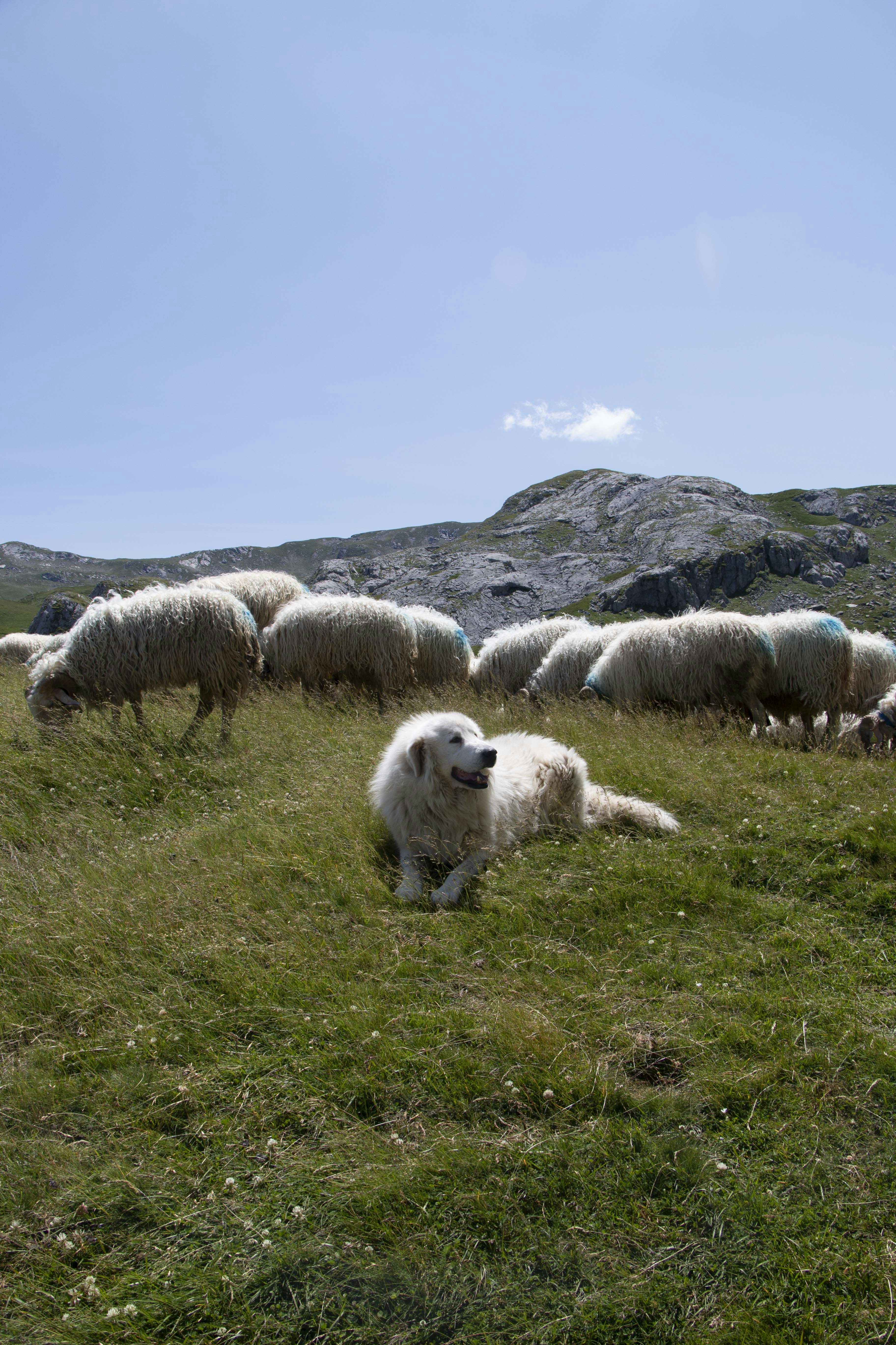 Photo by margauxquercy