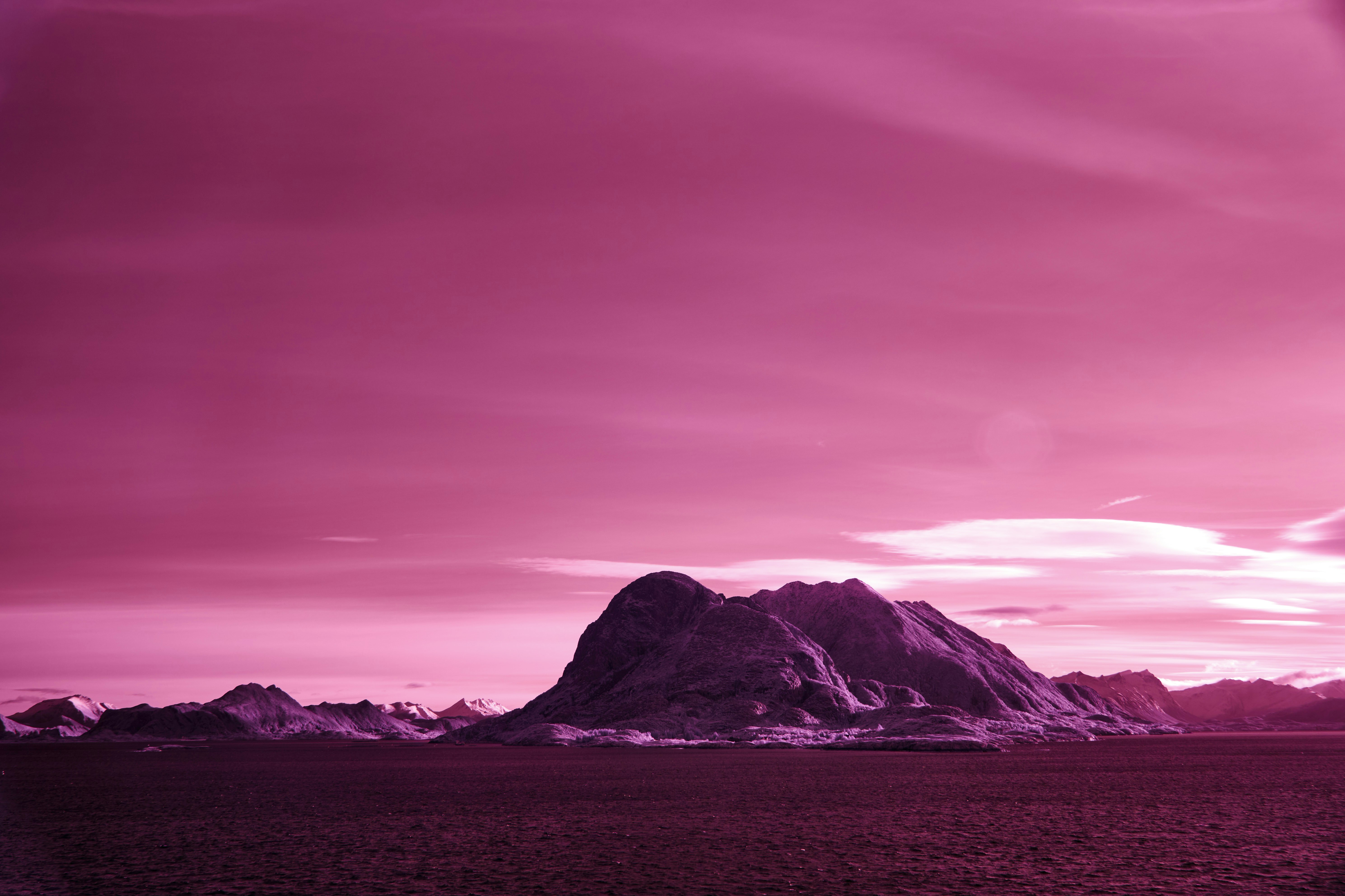 Photo by wolfgang_hasselmann