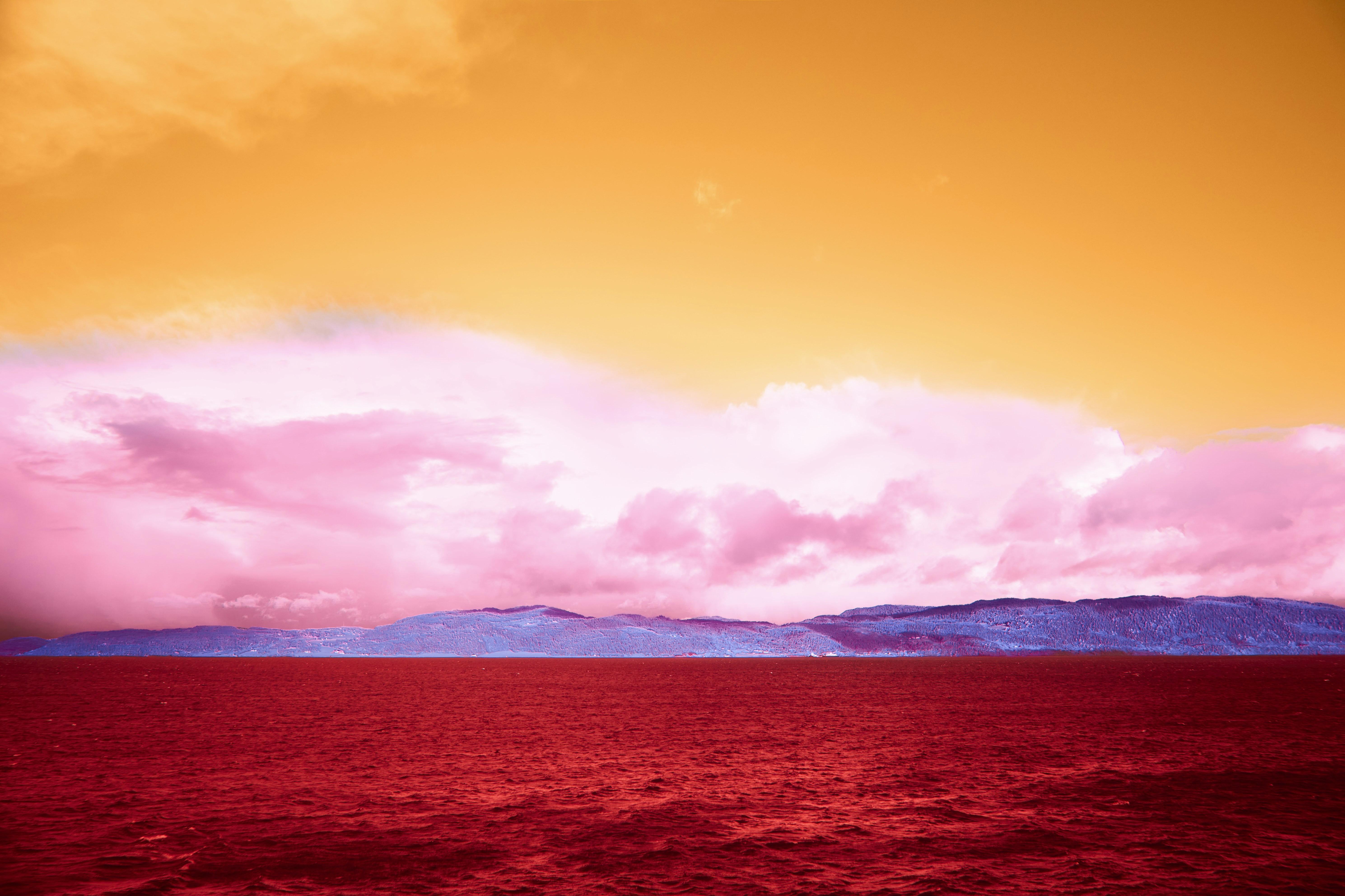 Photo by wolfgang_hasselmann