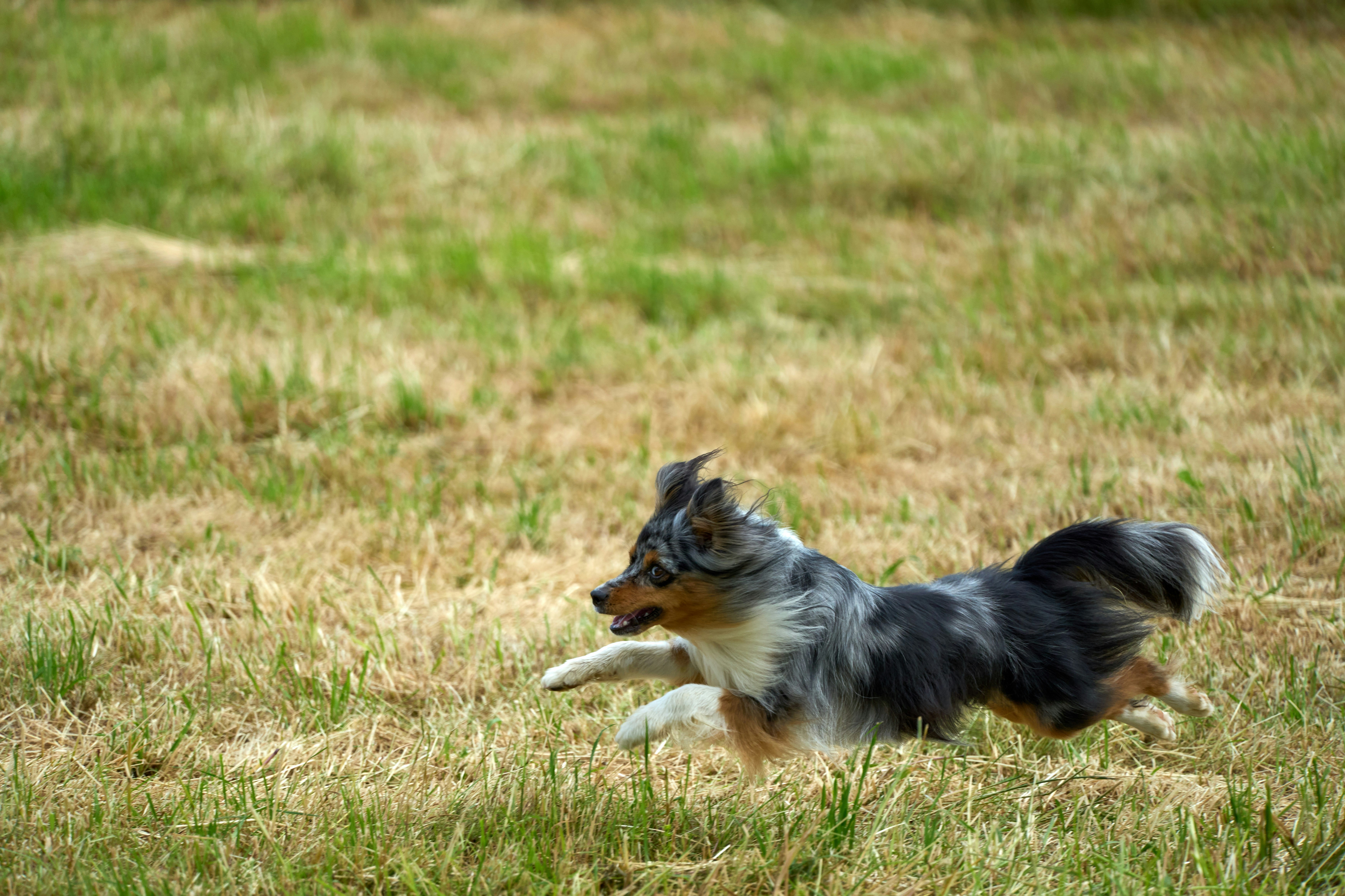 Photo by wolfgang_hasselmann