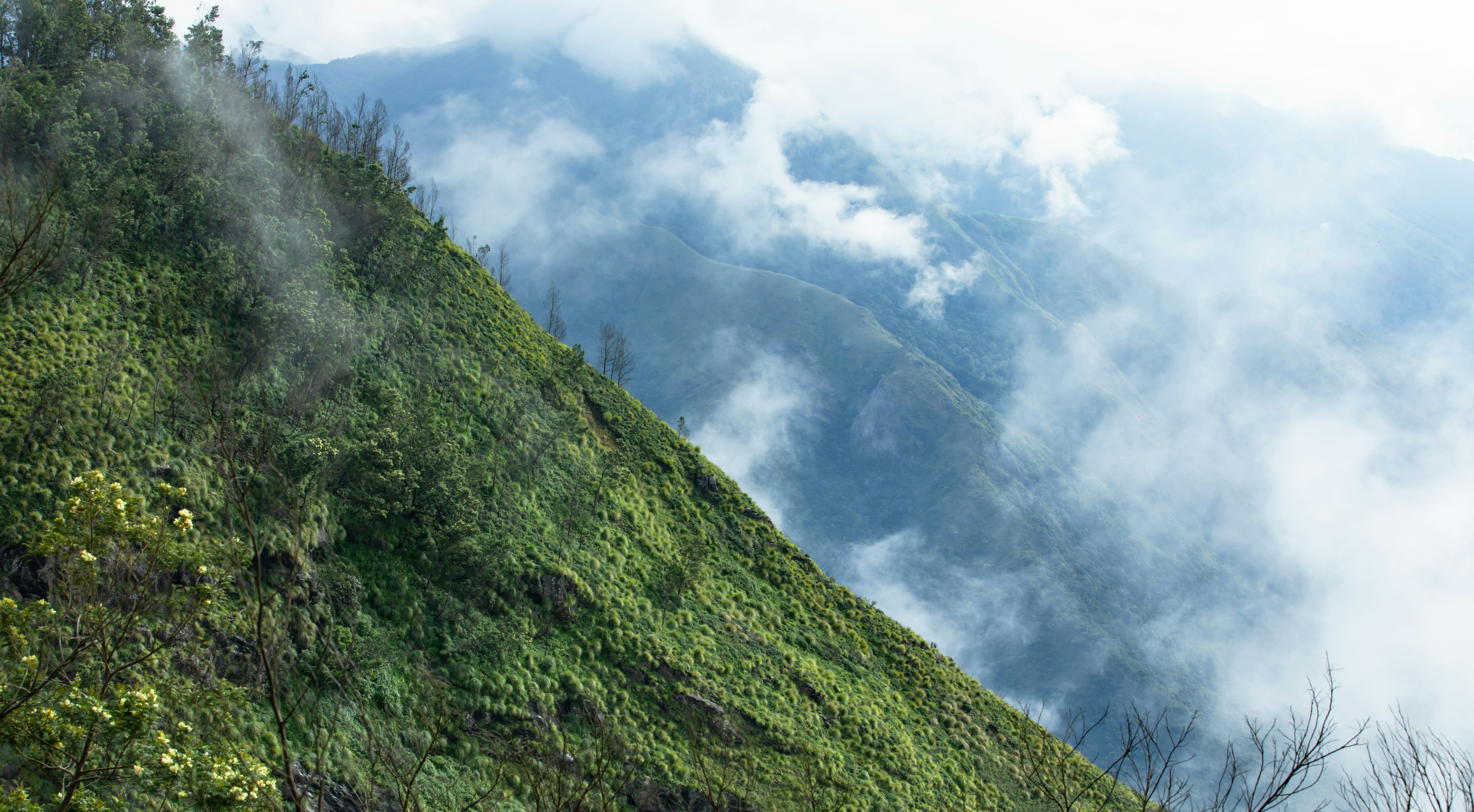 Photo by anil_sharma_india