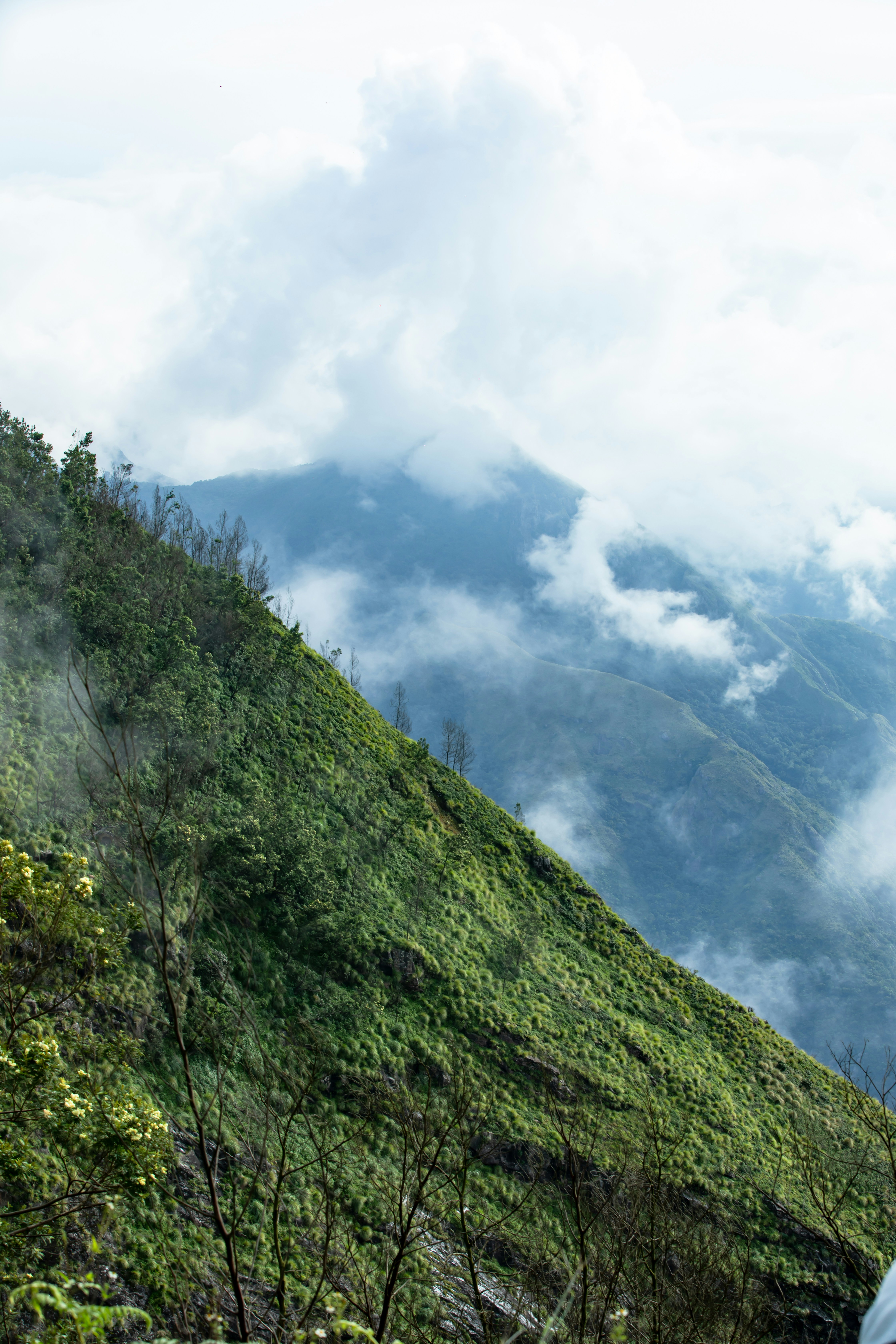 Photo by anil_sharma_india