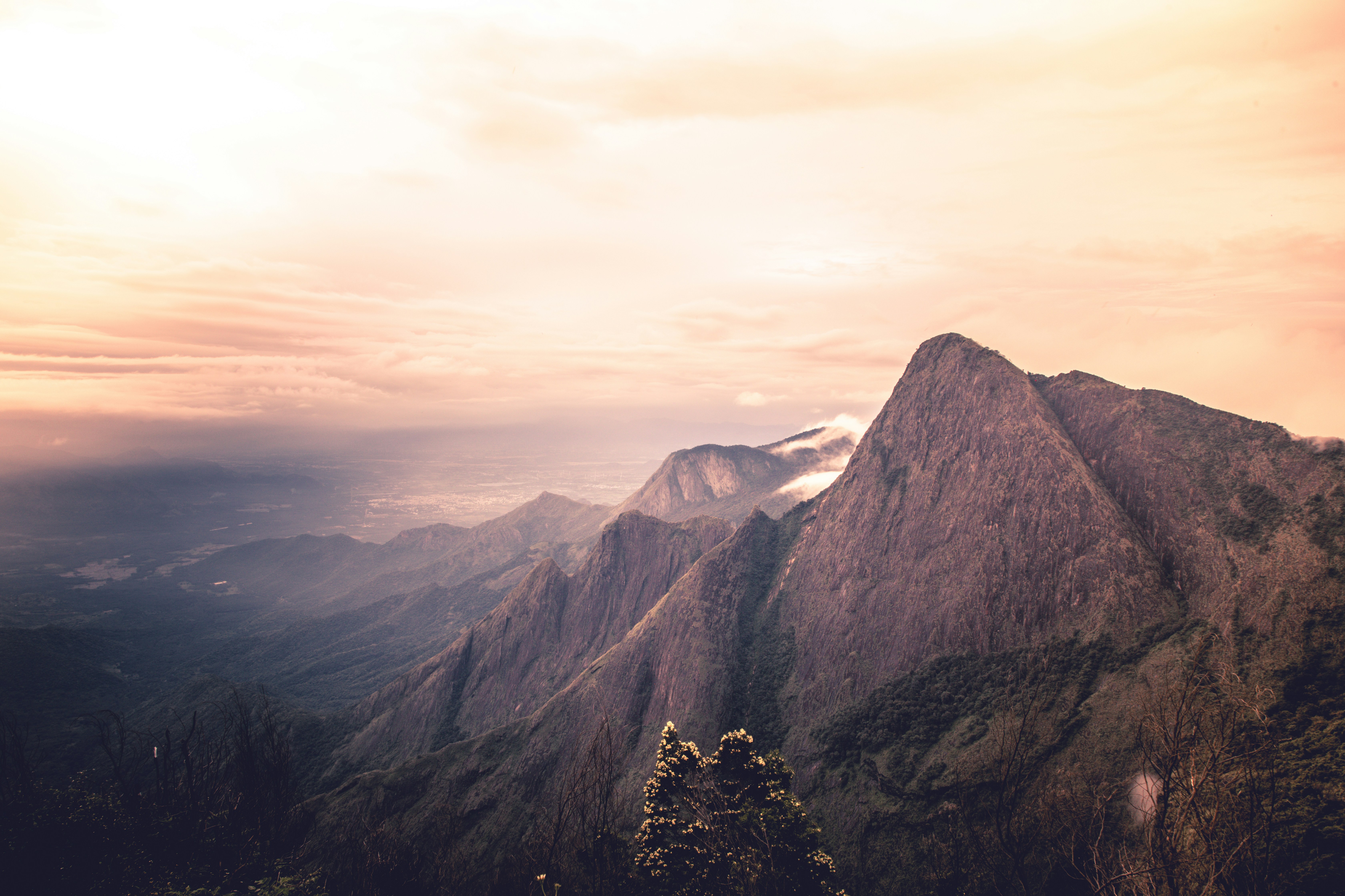 Photo by anil_sharma_india