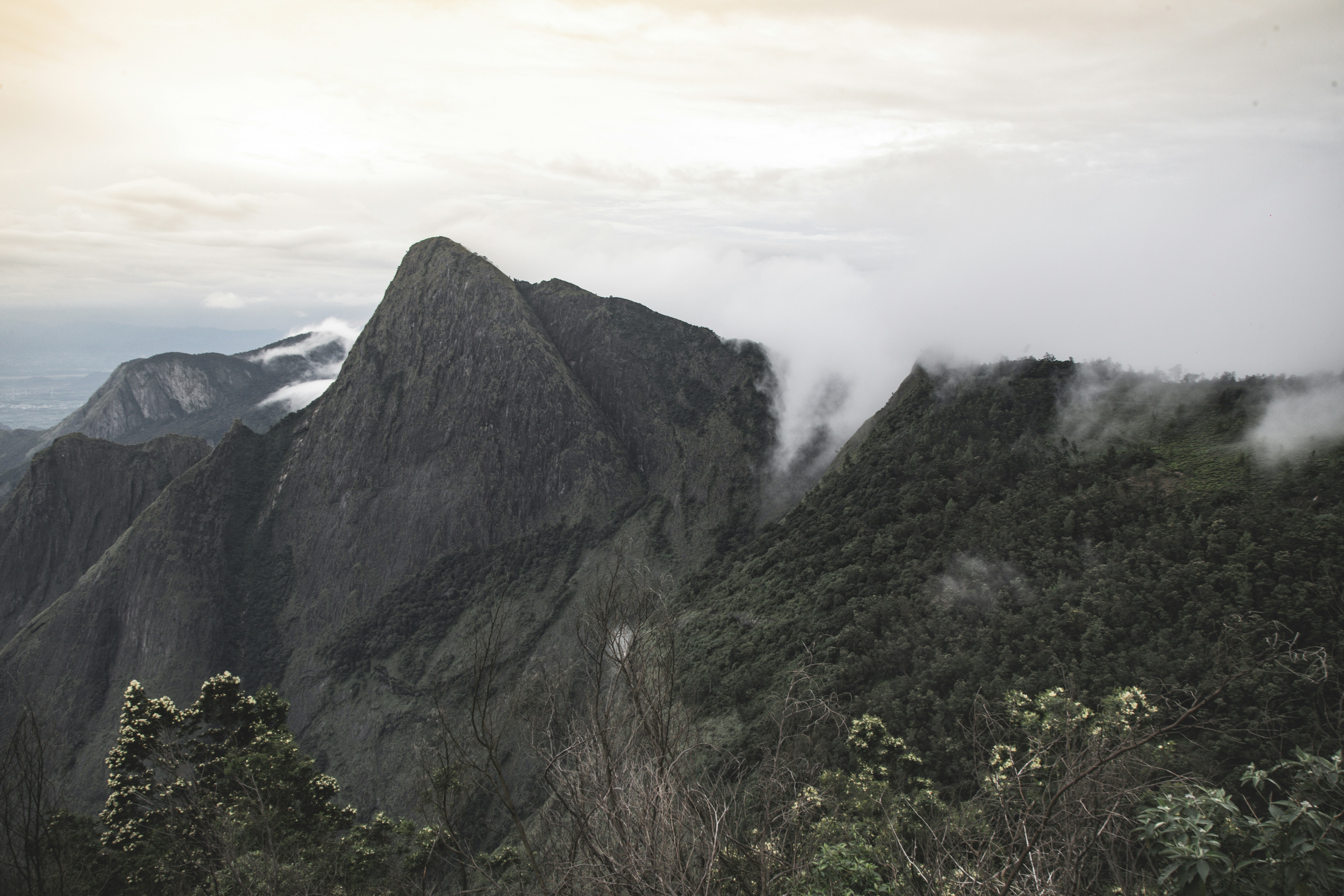 Photo by anil_sharma_india