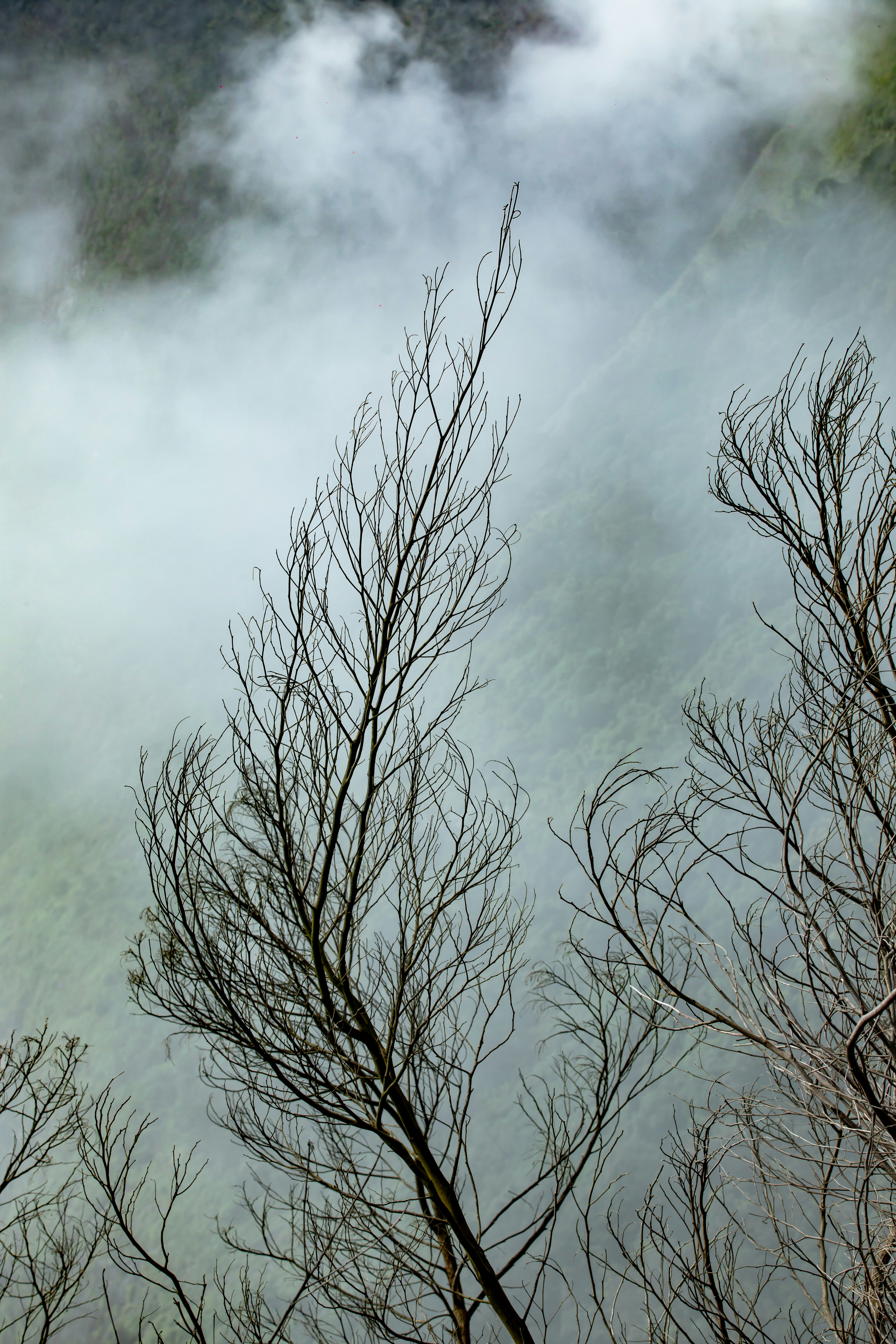 Photo by anil_sharma_india