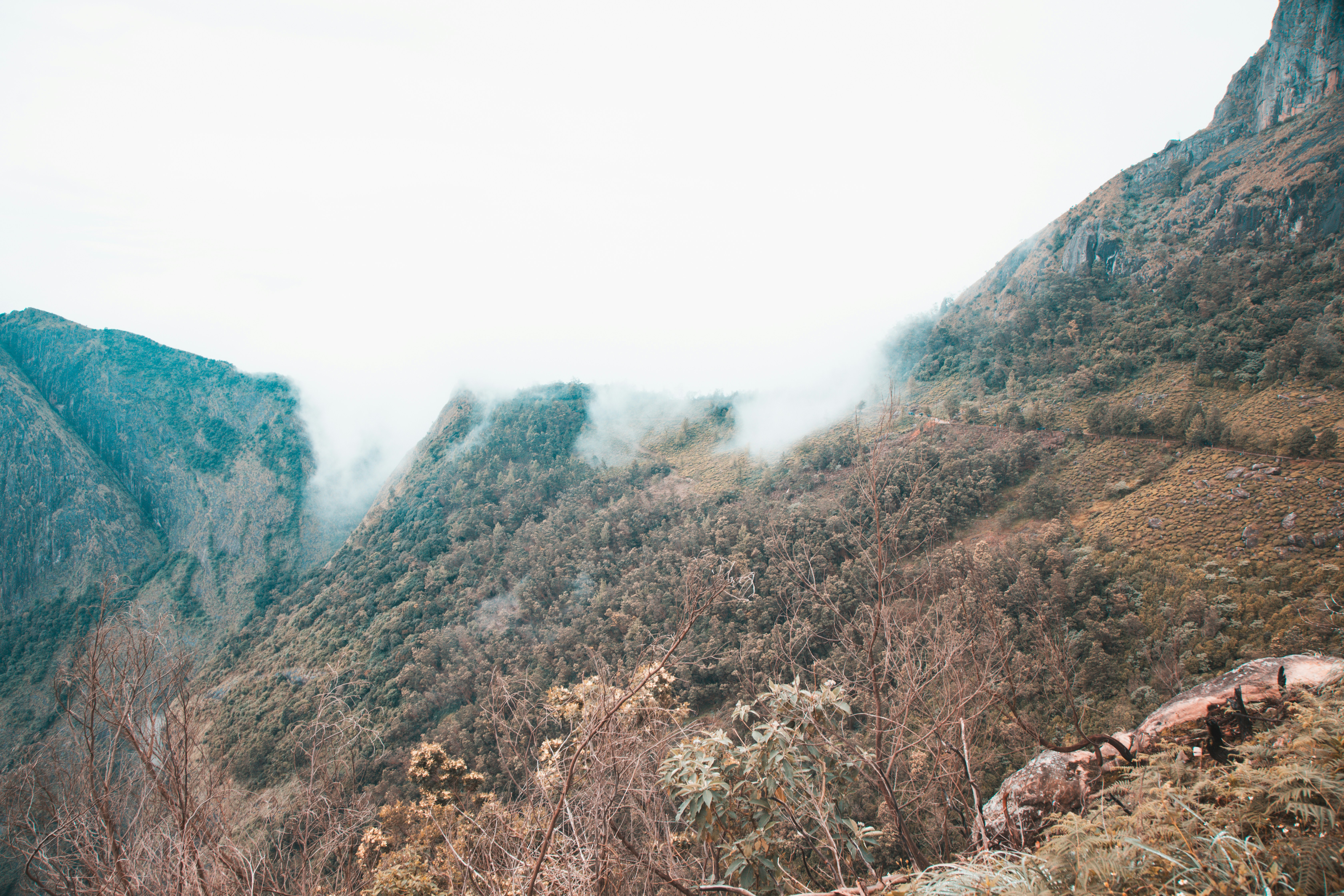 Photo by anil_sharma_india