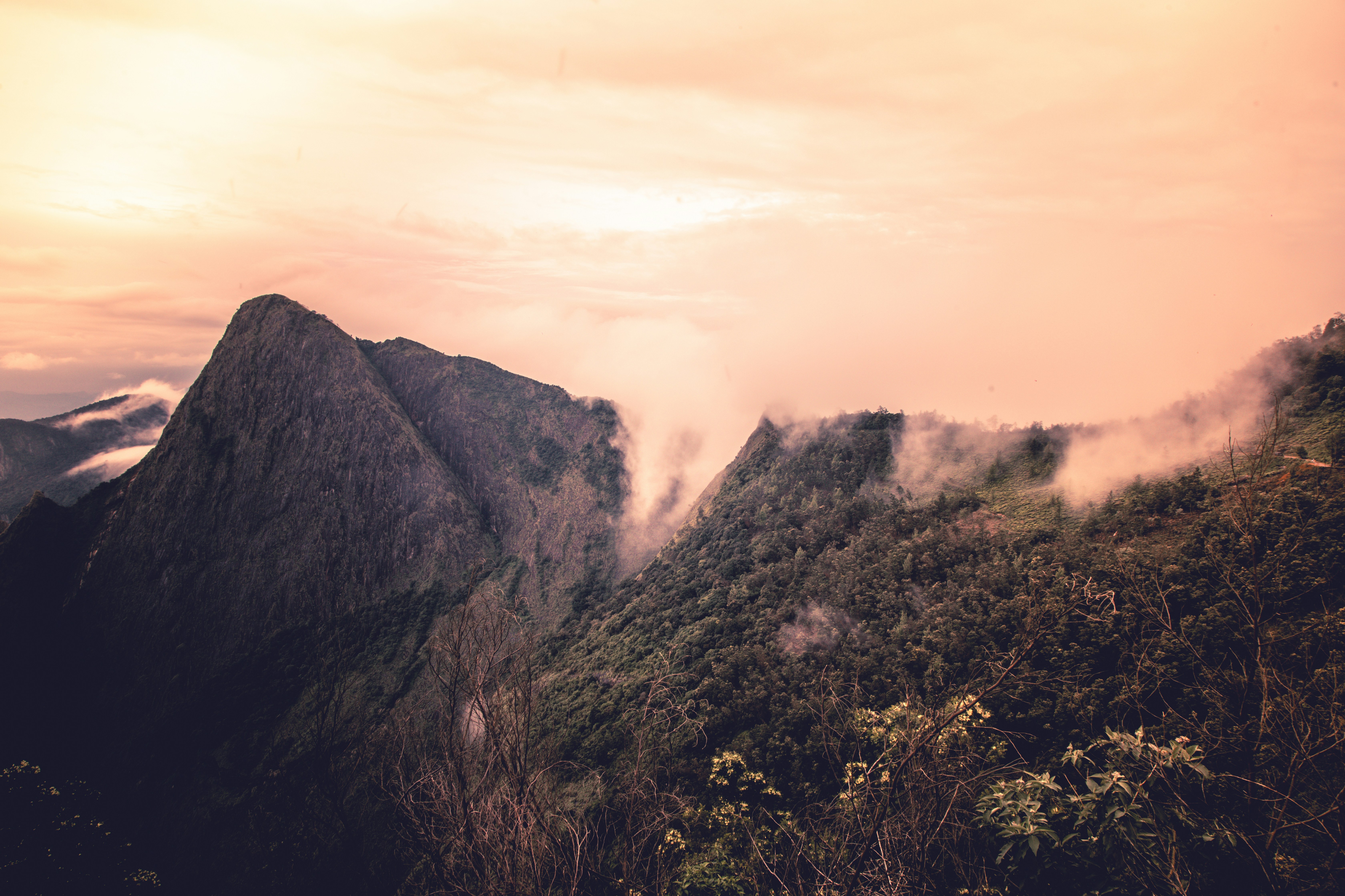 Photo by anil_sharma_india