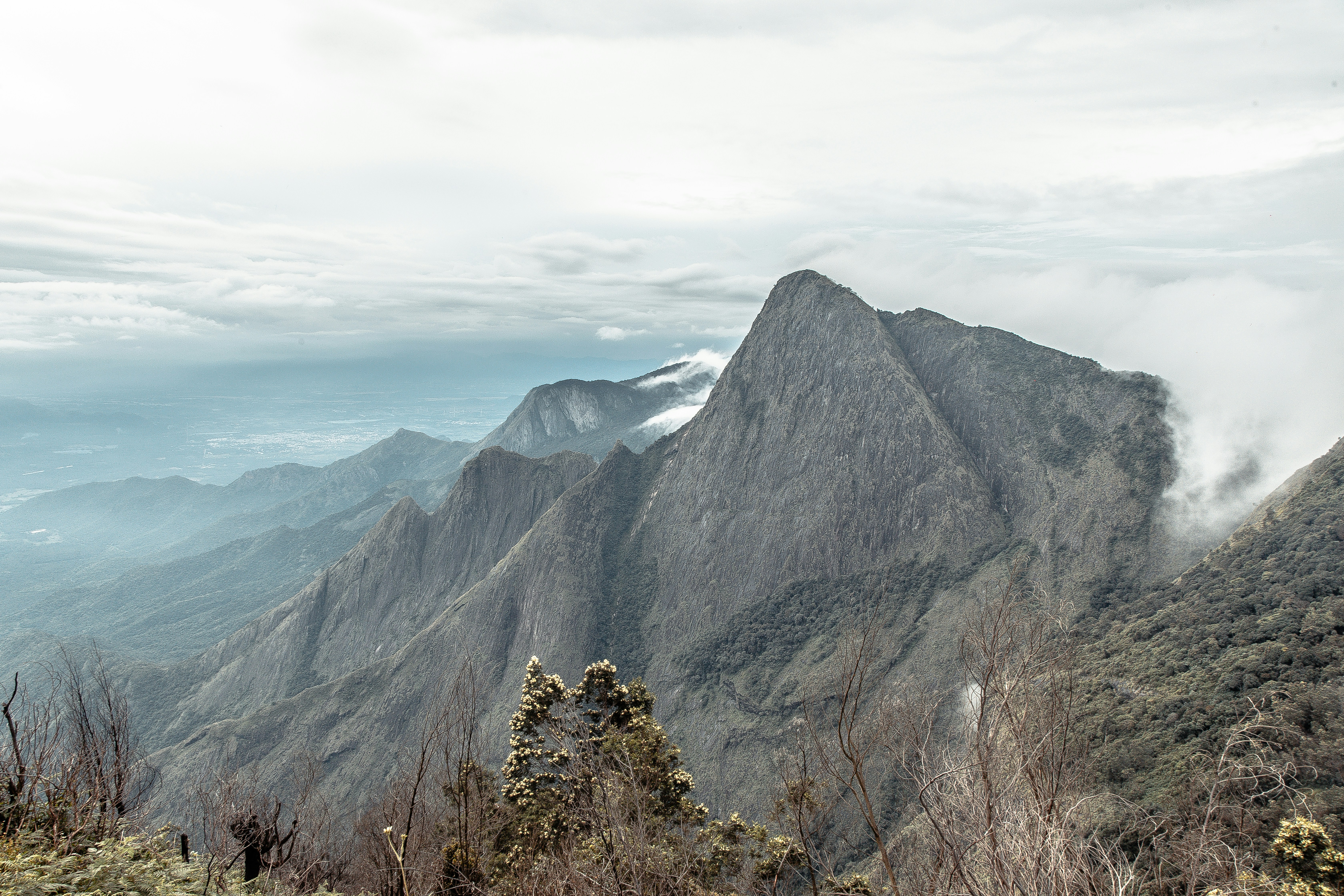 Photo by anil_sharma_india