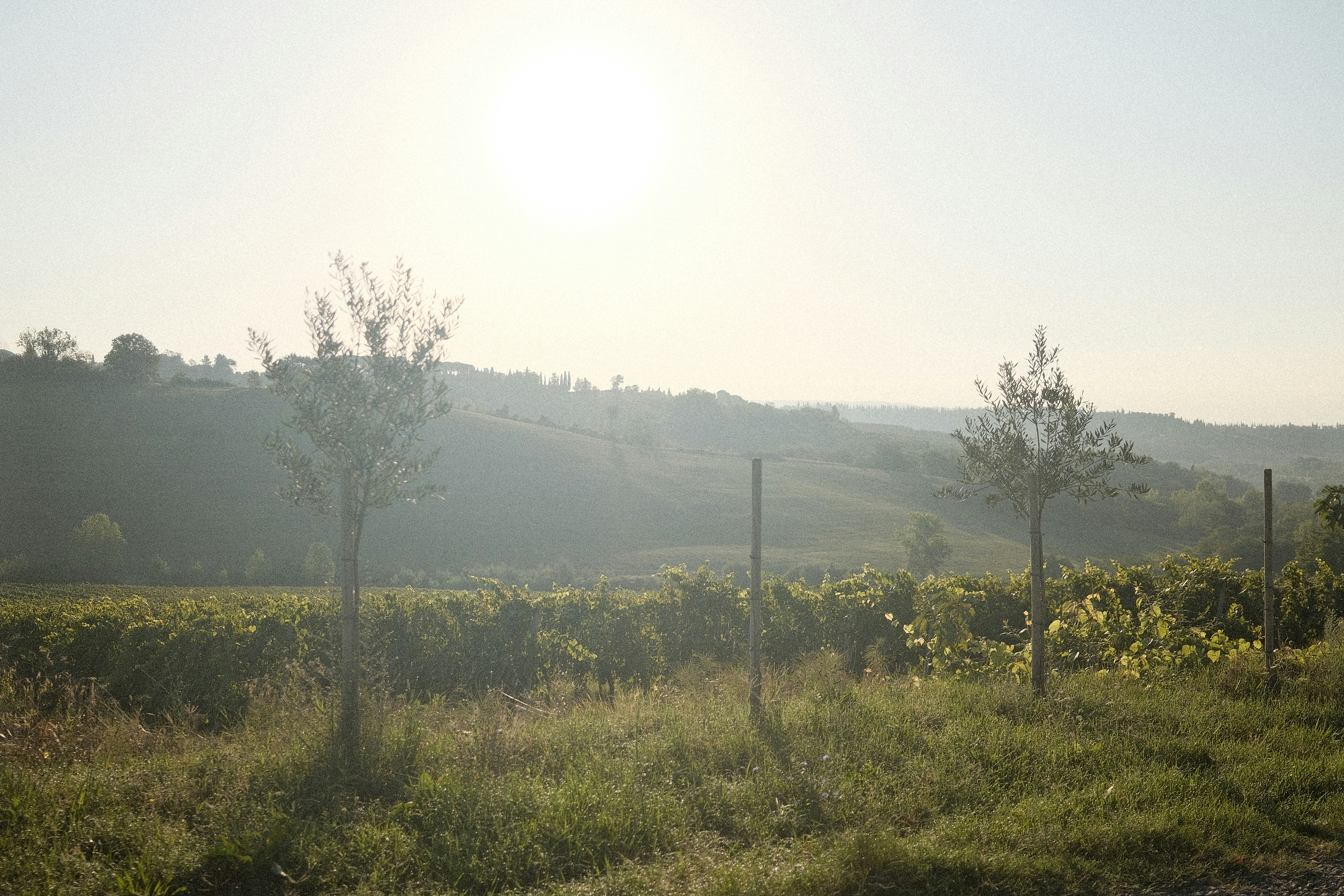 Photo by valentinlacoste