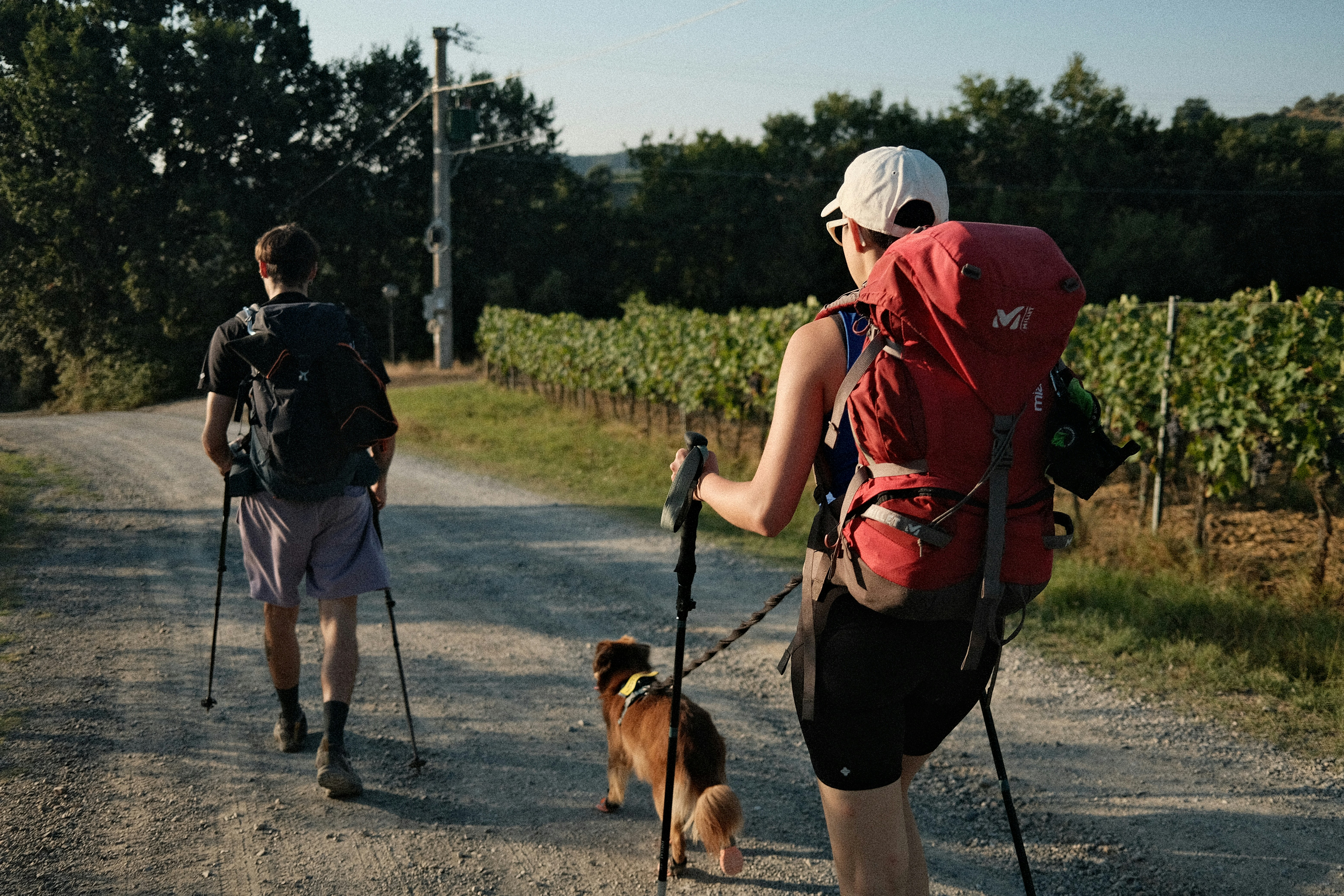 hikers with trekking poles