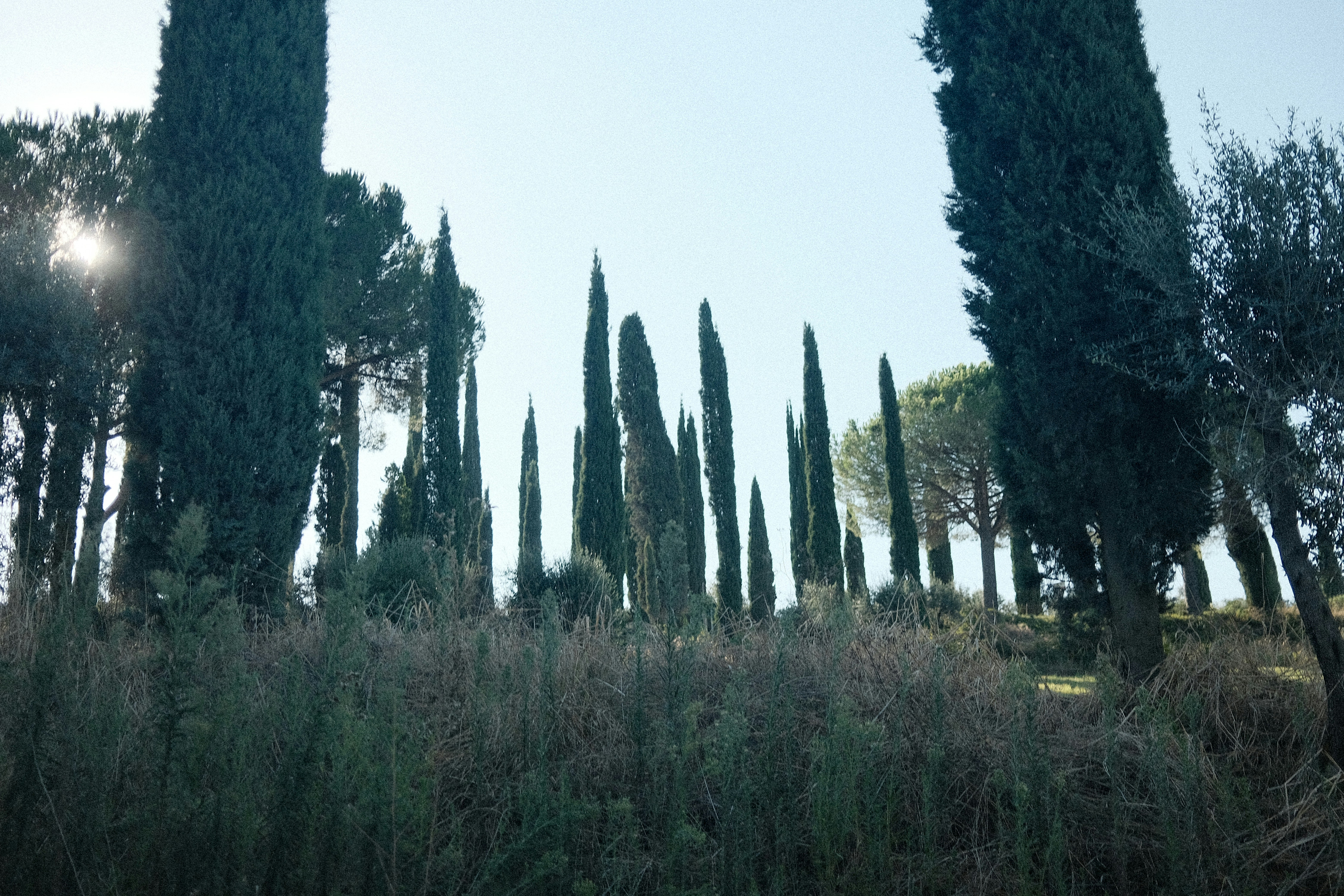 Photo by valentinlacoste