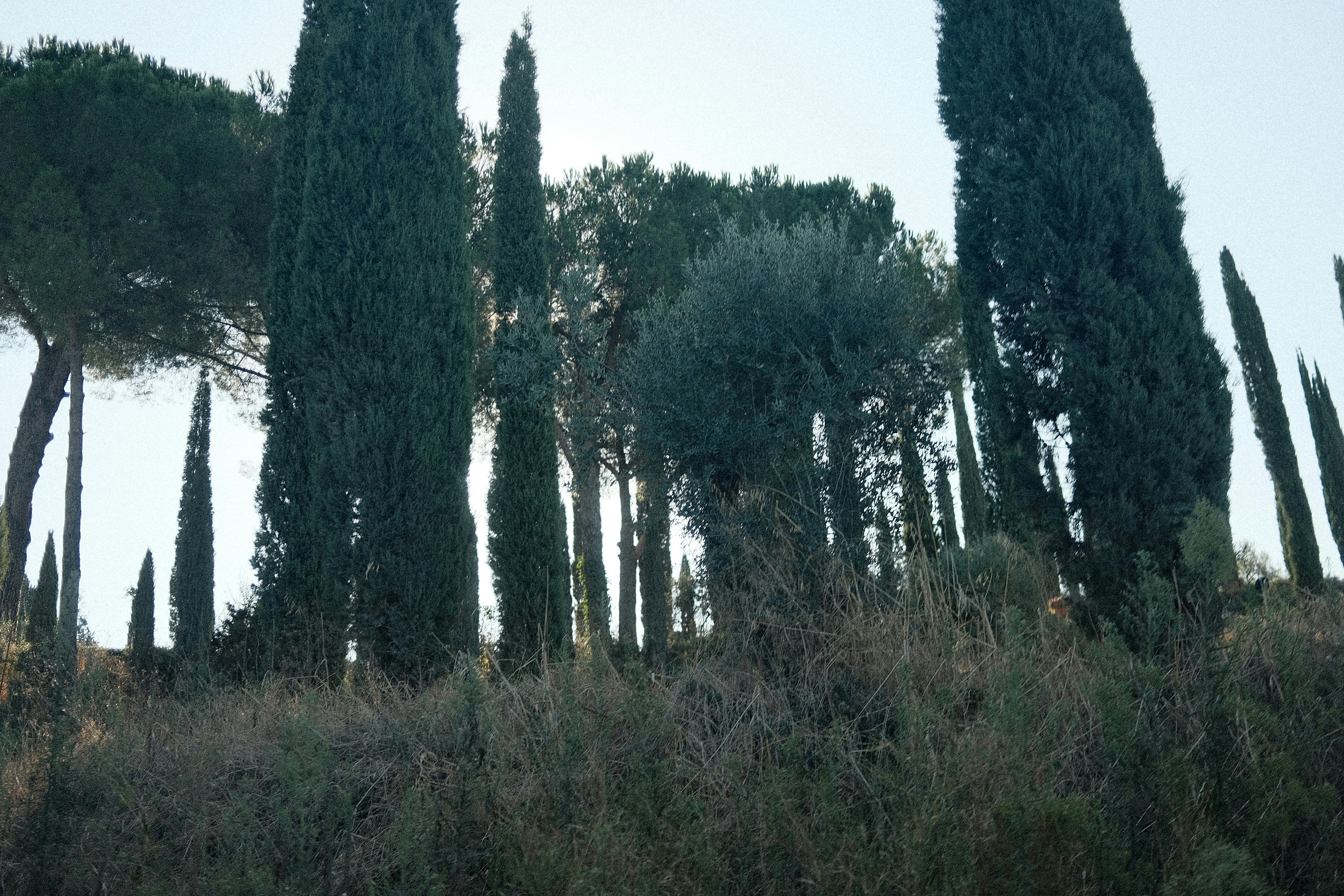 Photo by valentinlacoste