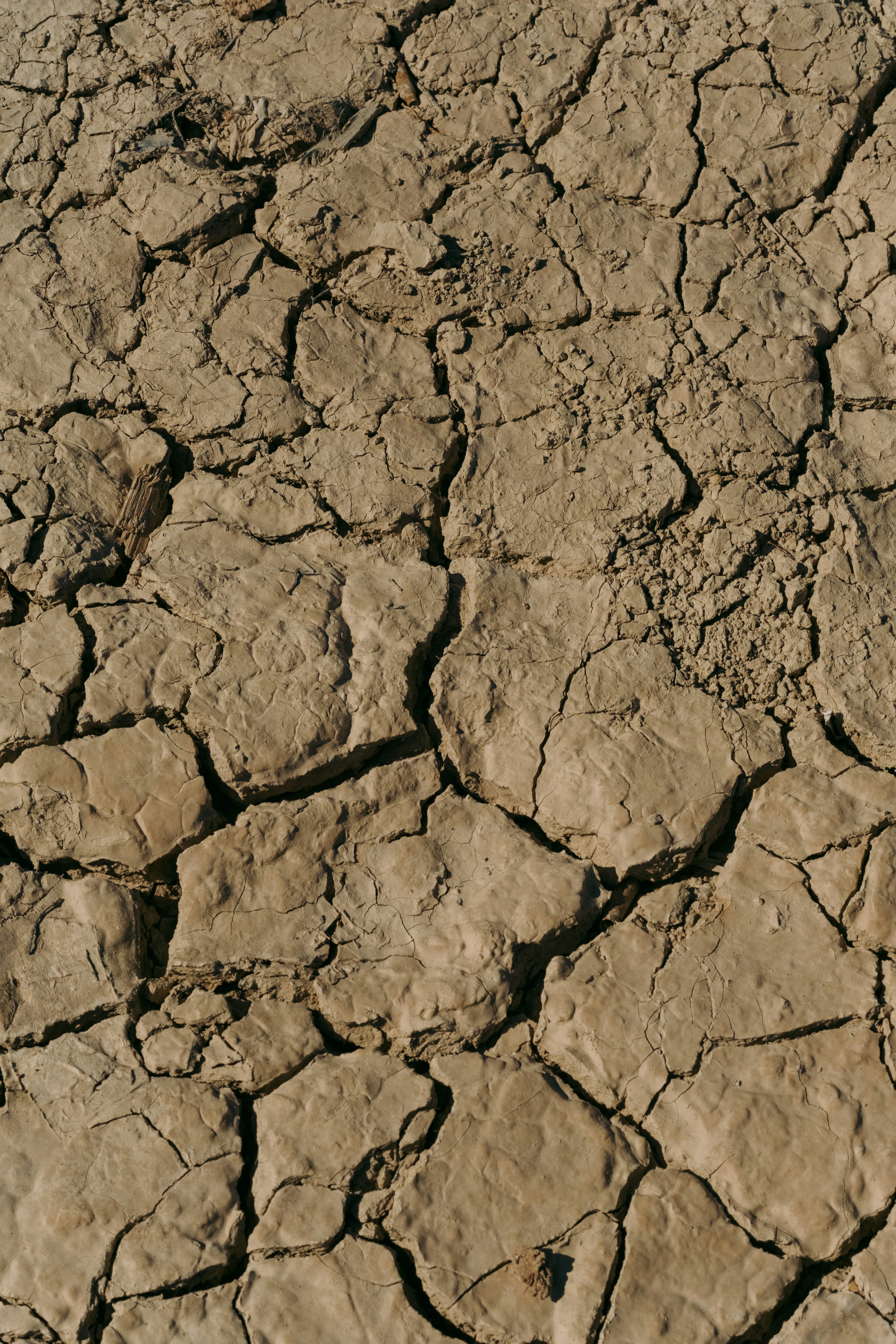 Photo by tobolenkoph