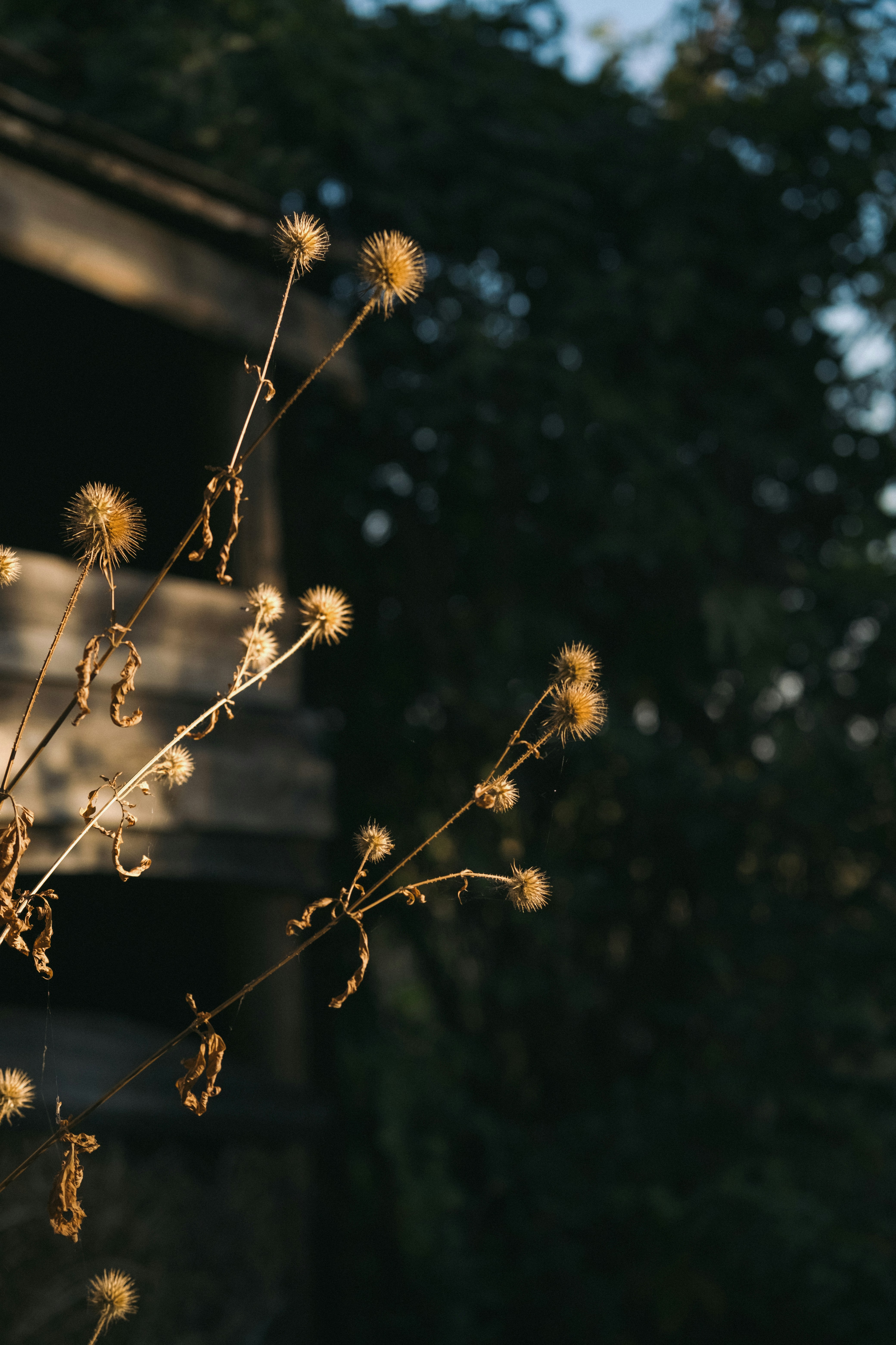 Photo by tobolenkoph