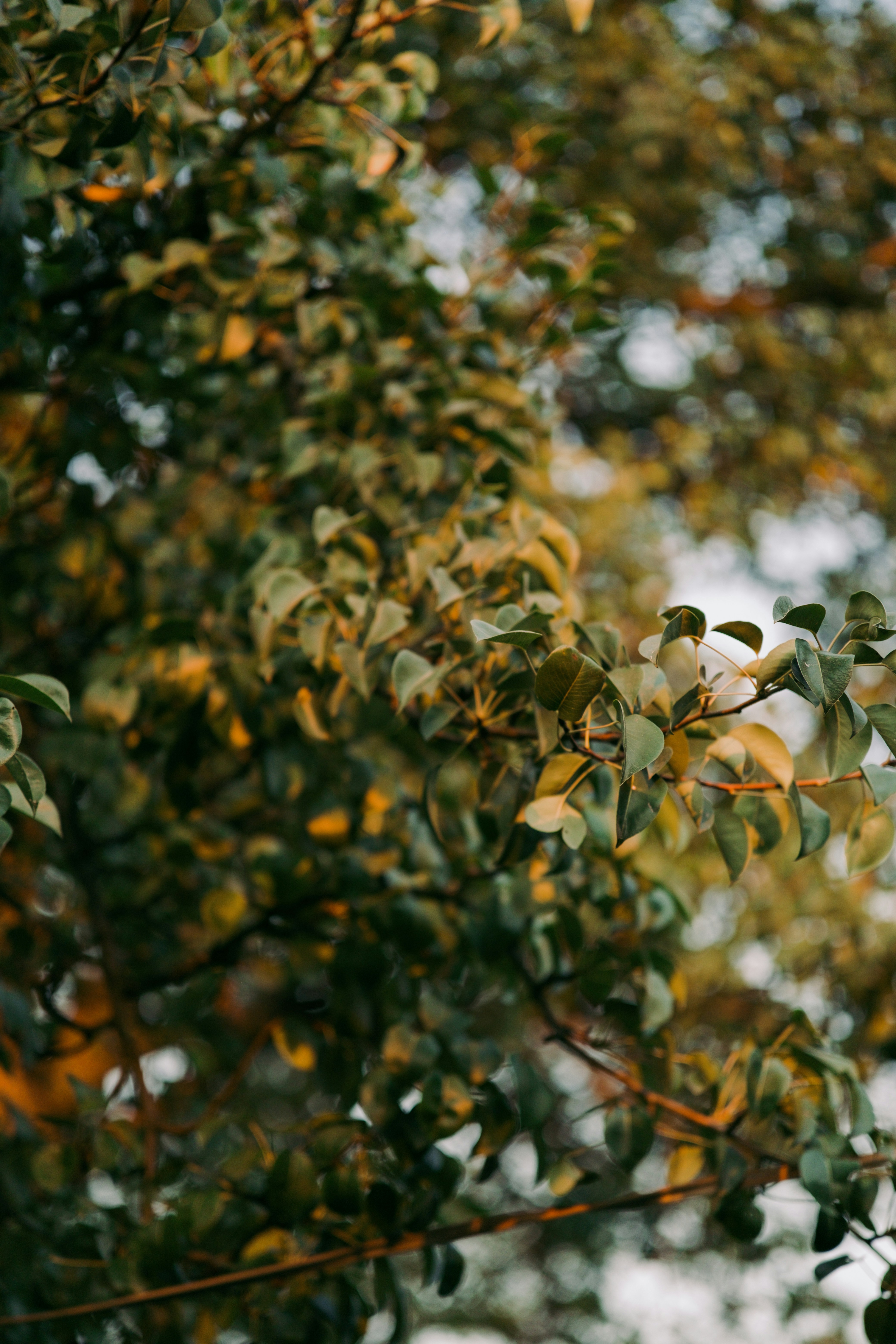 Photo by tobolenkoph